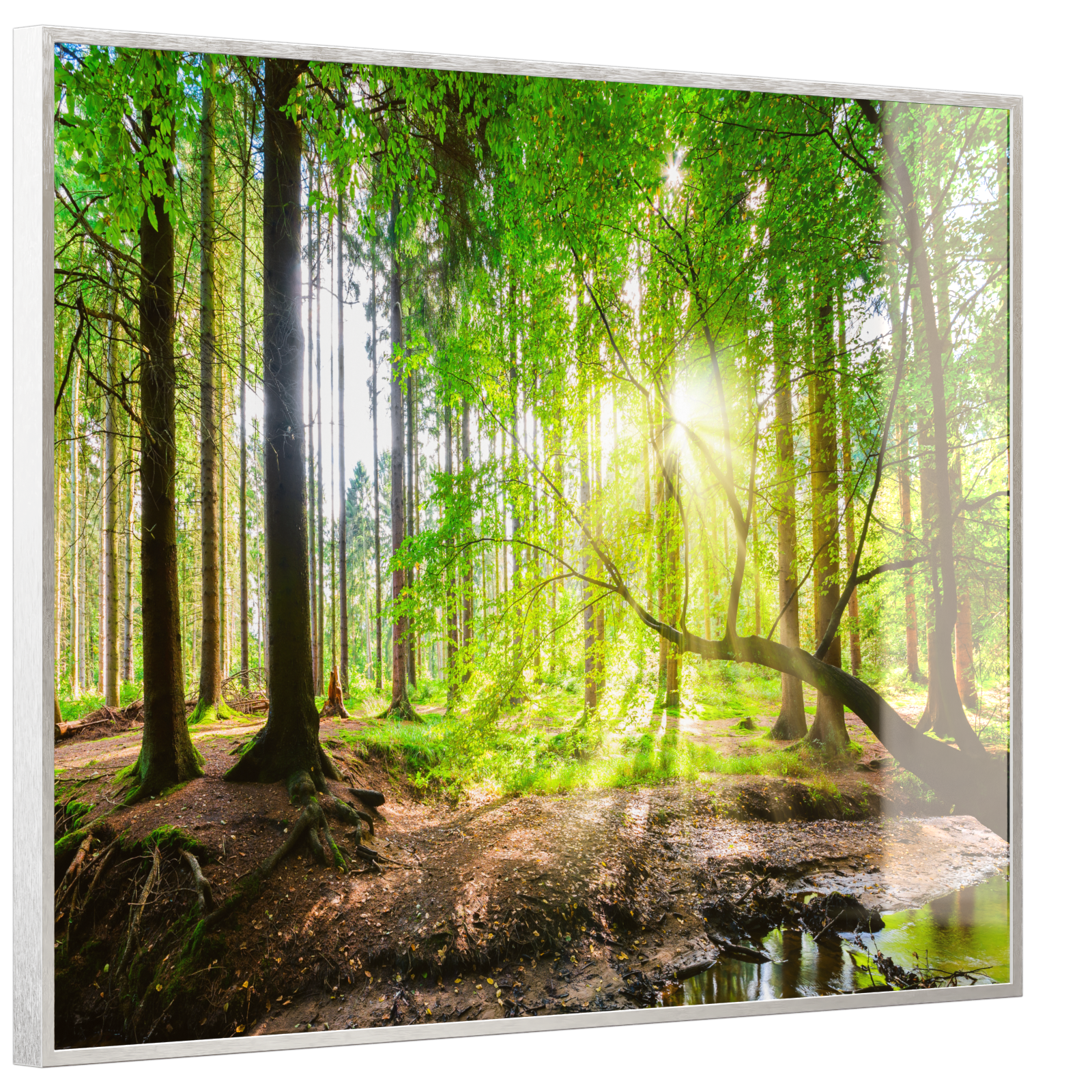 Deko Glas Wandbild Motiv 067 Wald Panorama