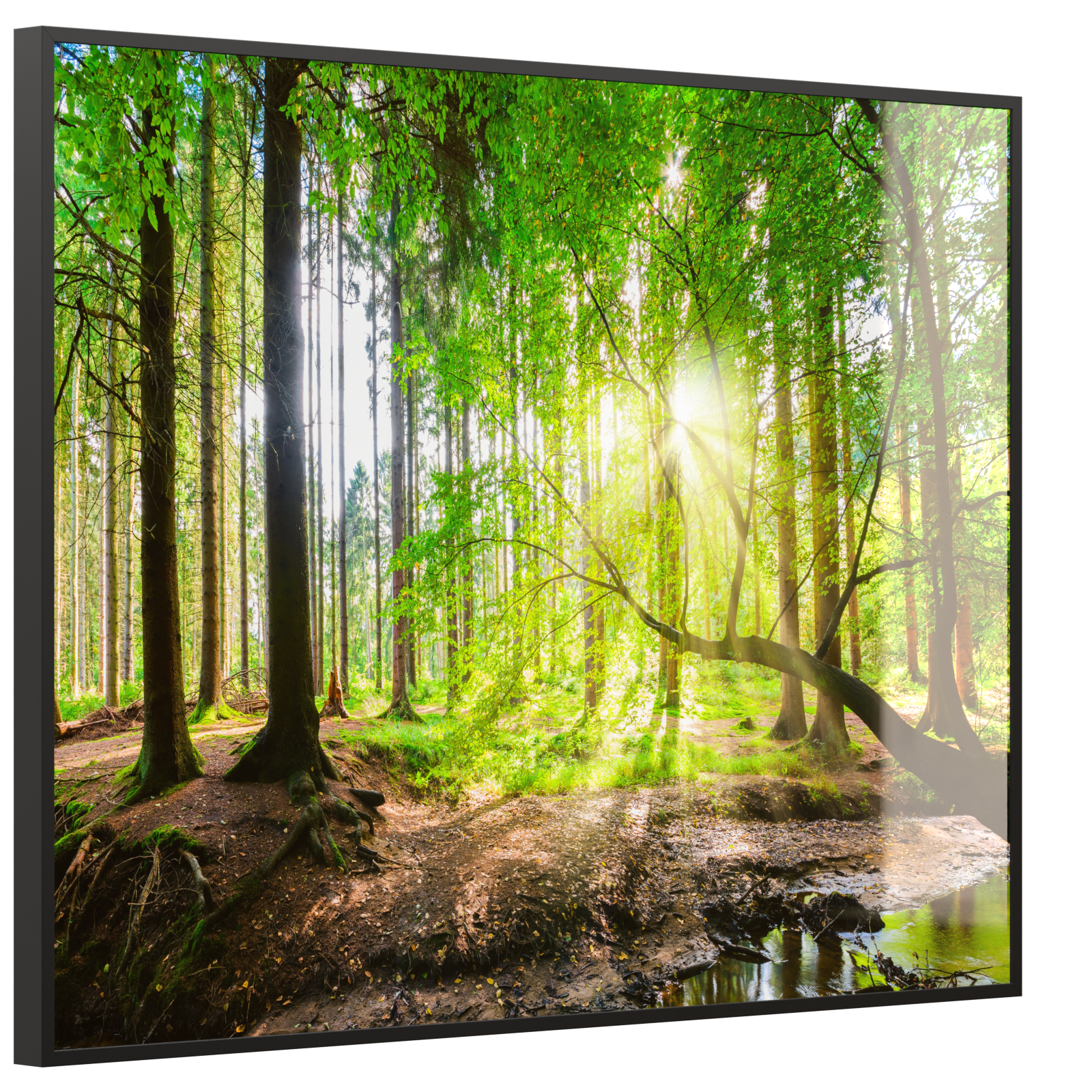 Deko Glas Wandbild Motiv 067 Wald Panorama