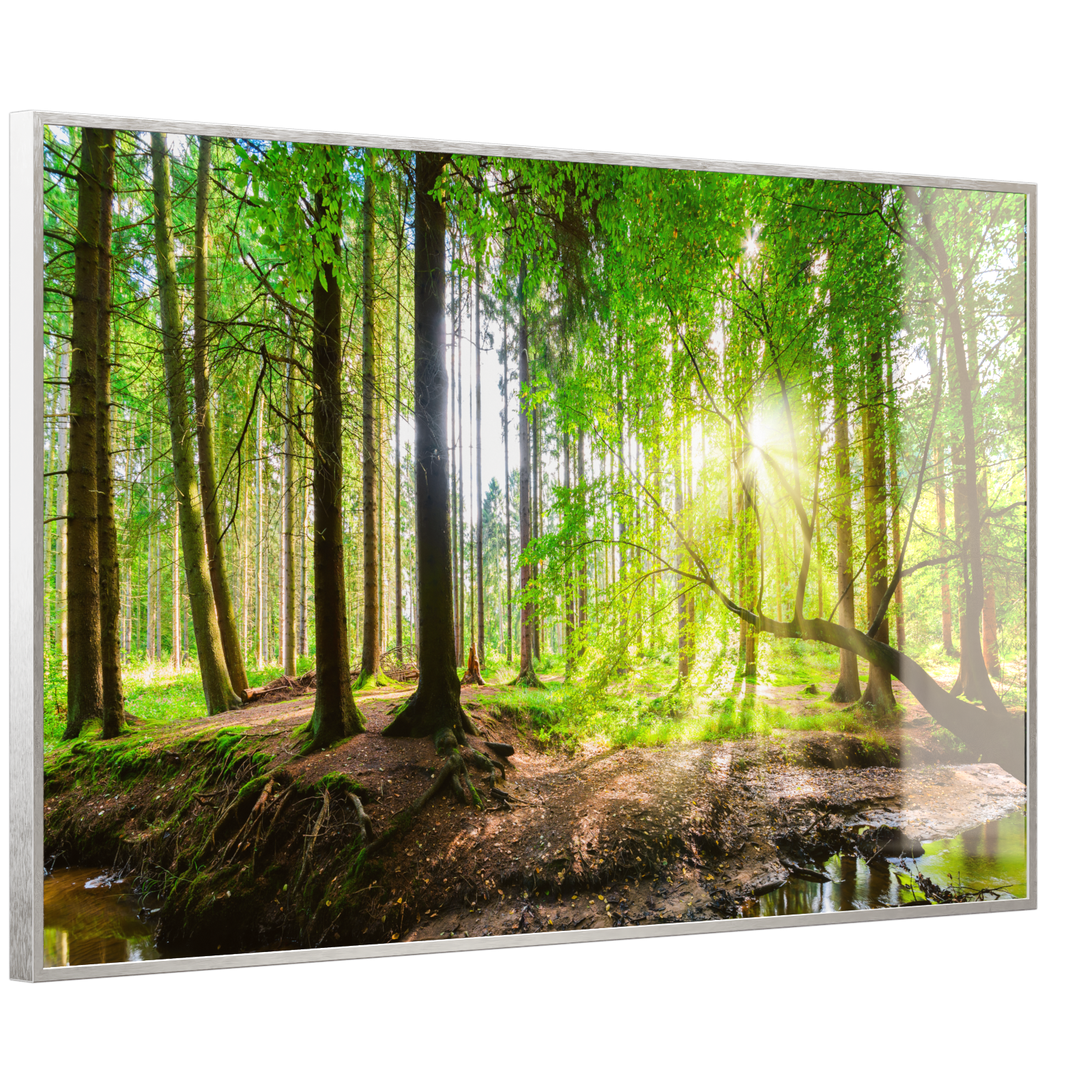 Deko Glas Wandbild Motiv 067 Wald Panorama