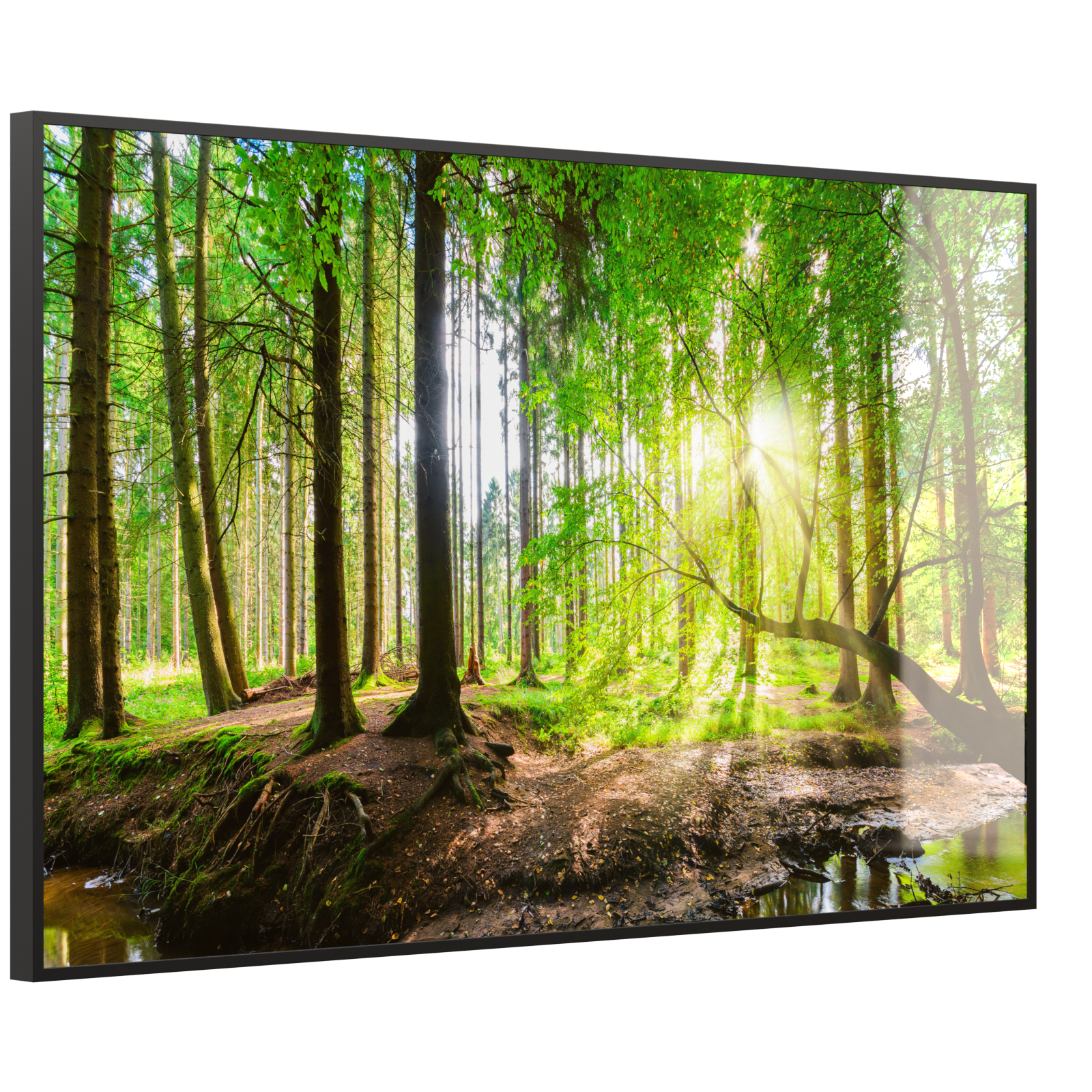 Deko Glas Wandbild Motiv 067 Wald Panorama