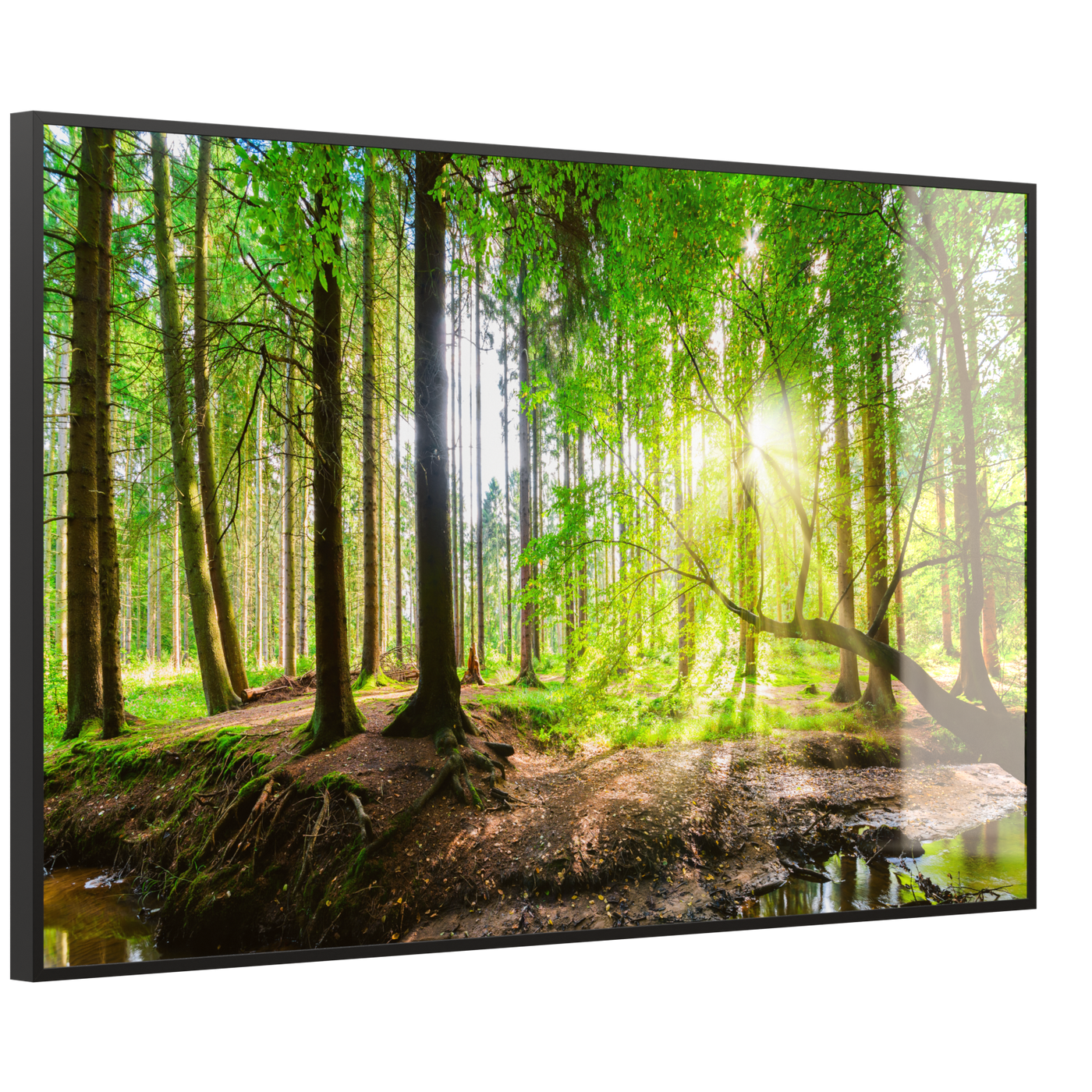 STEINFELD Deko Glas Wandbild Motiv 067 Wald Panorama