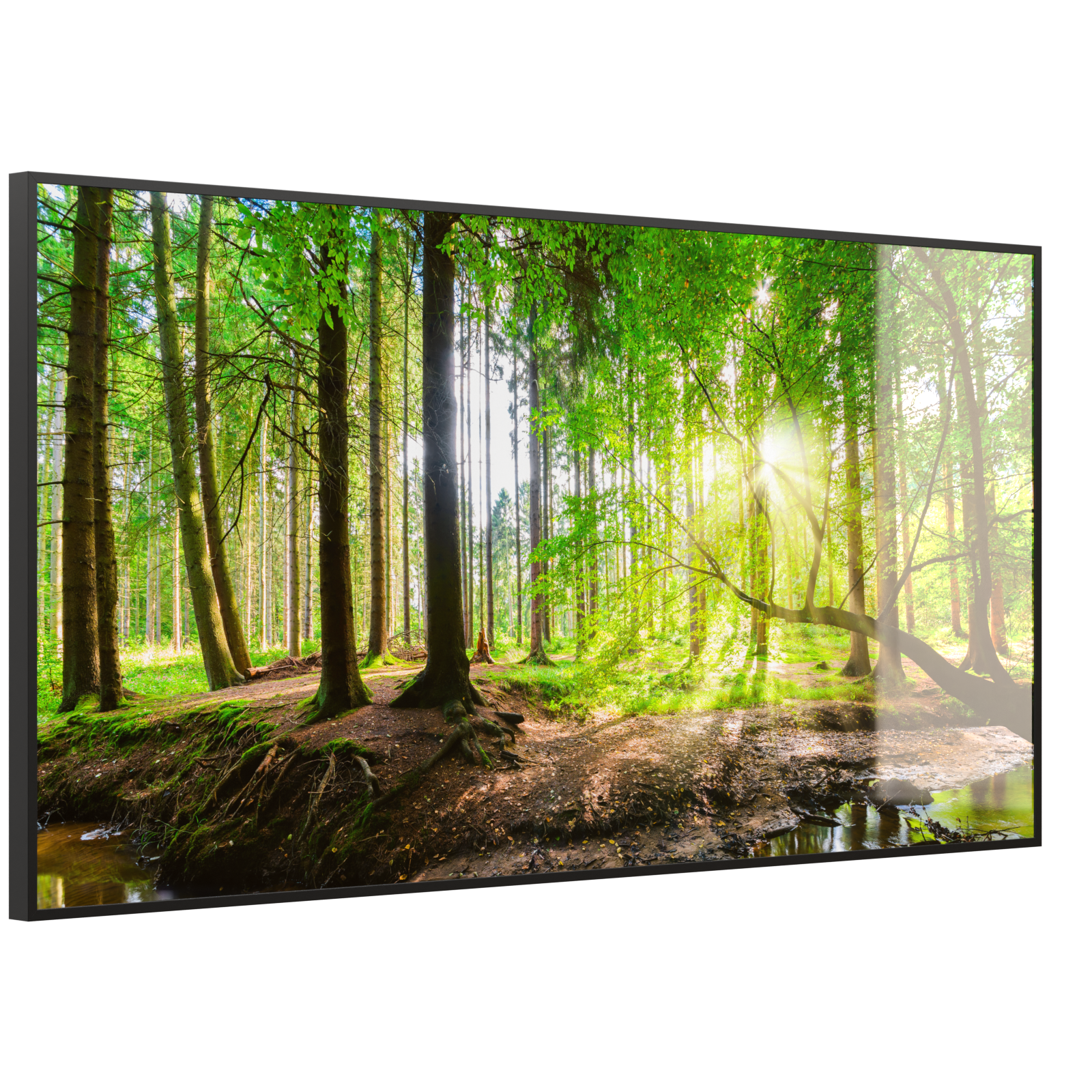 Deko Glas Wandbild Motiv 067 Wald Panorama