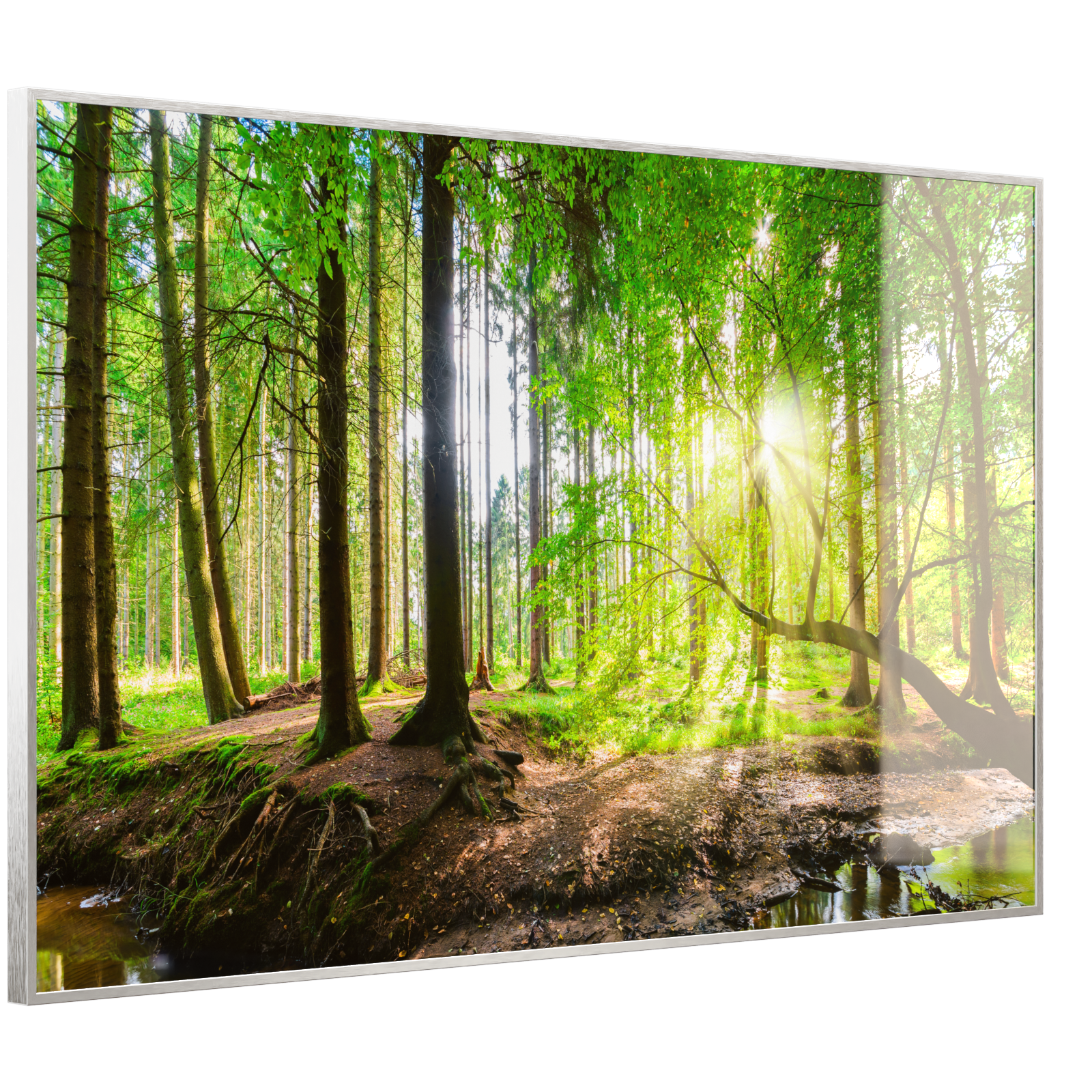 Deko Glas Wandbild Motiv 067 Wald Panorama