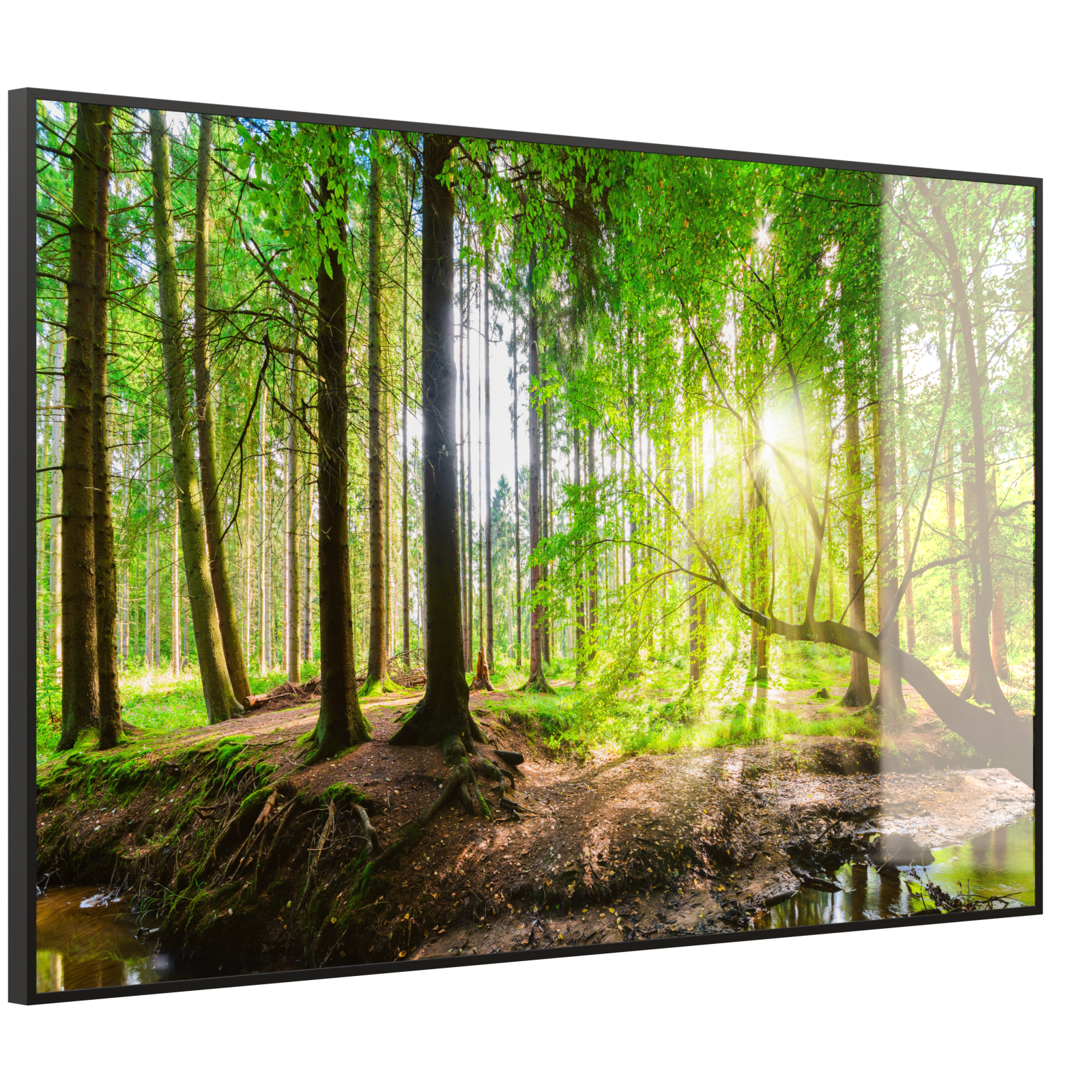 Deko Glas Wandbild Motiv 067 Wald Panorama