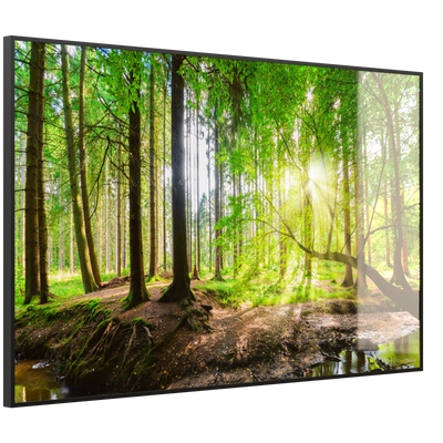 STEINFELD Deko Glas Wandbild Motiv 067 Wald Panorama