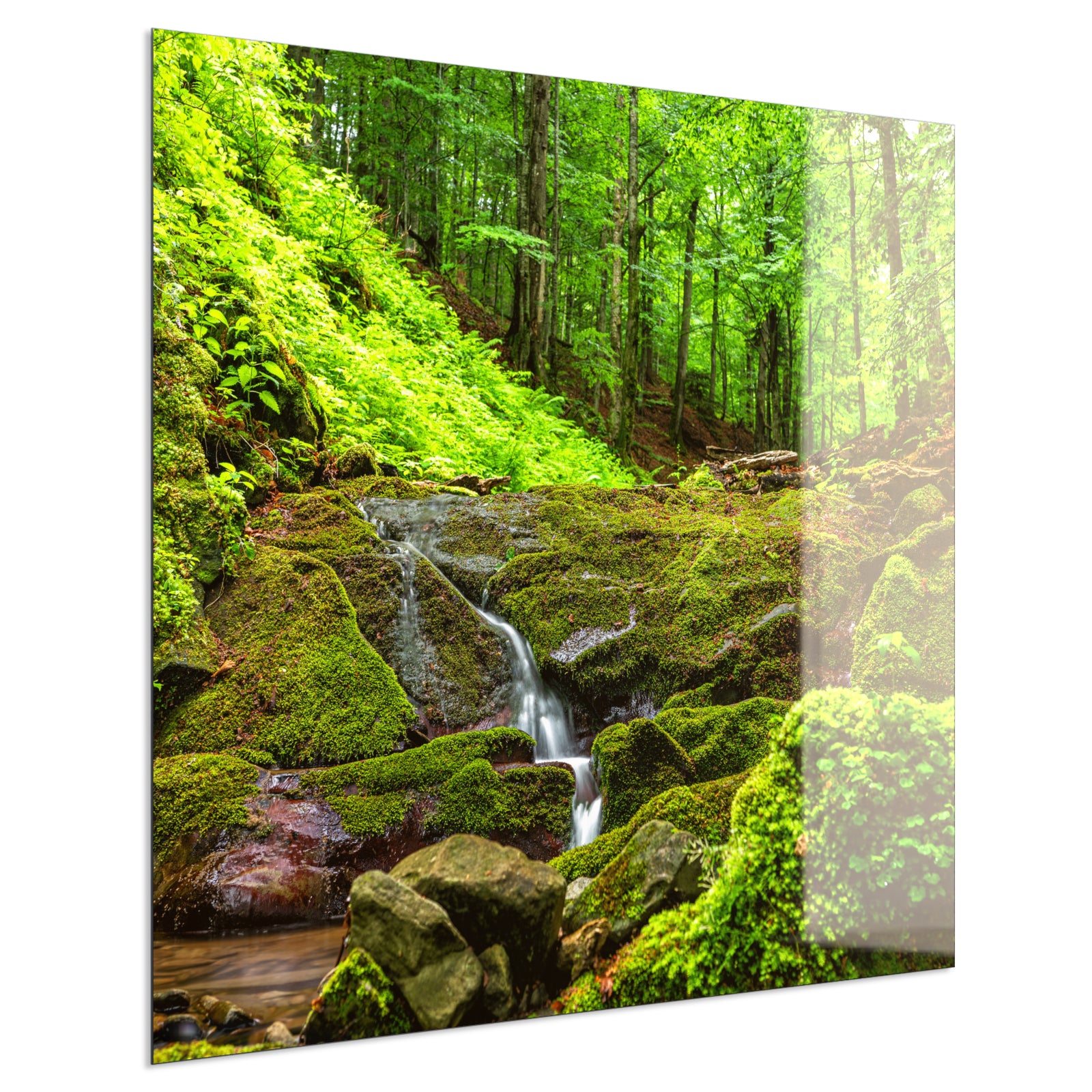 Deko Glas Wandbild Motiv 072 Waldbach