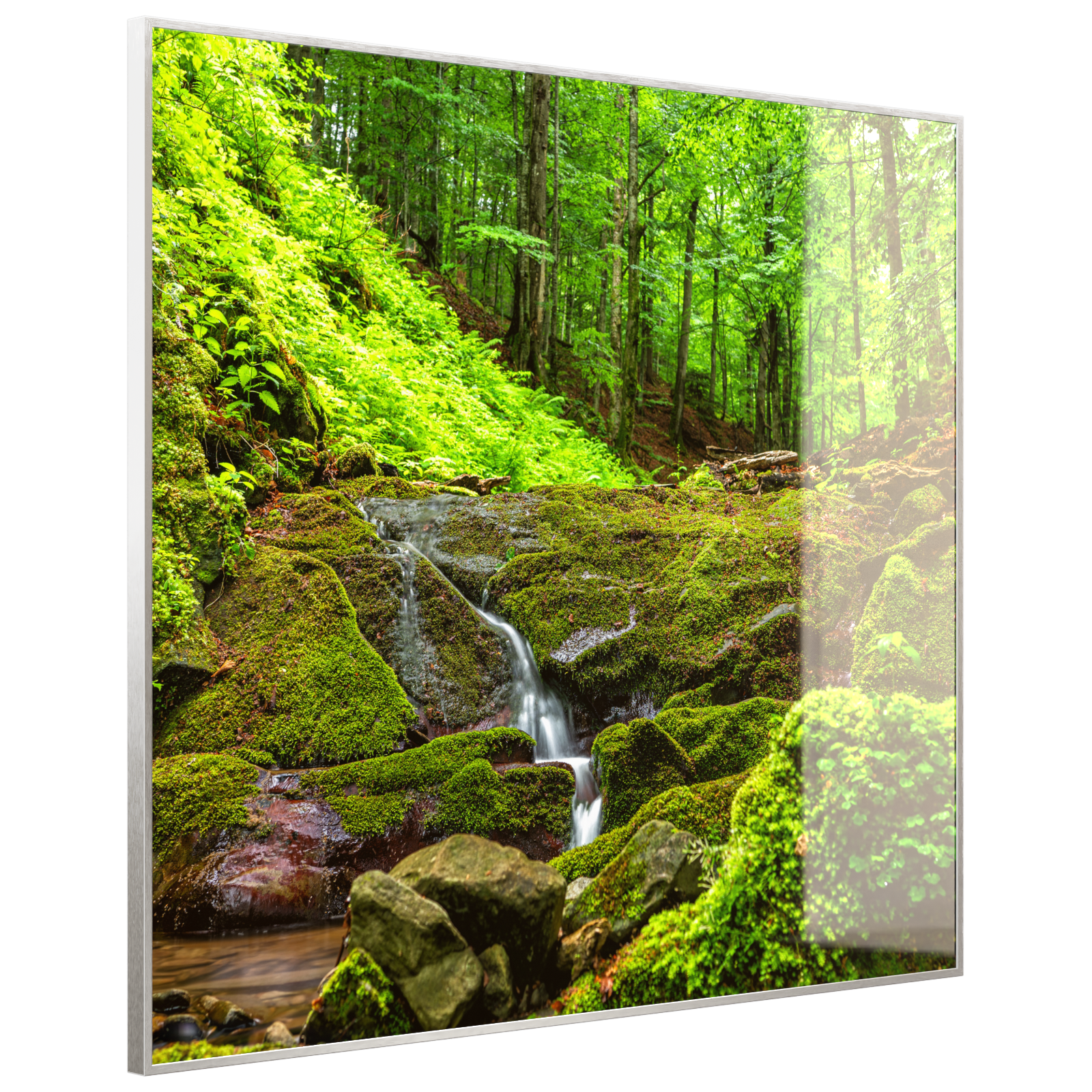 Deko Glas Wandbild Motiv 072 Waldbach