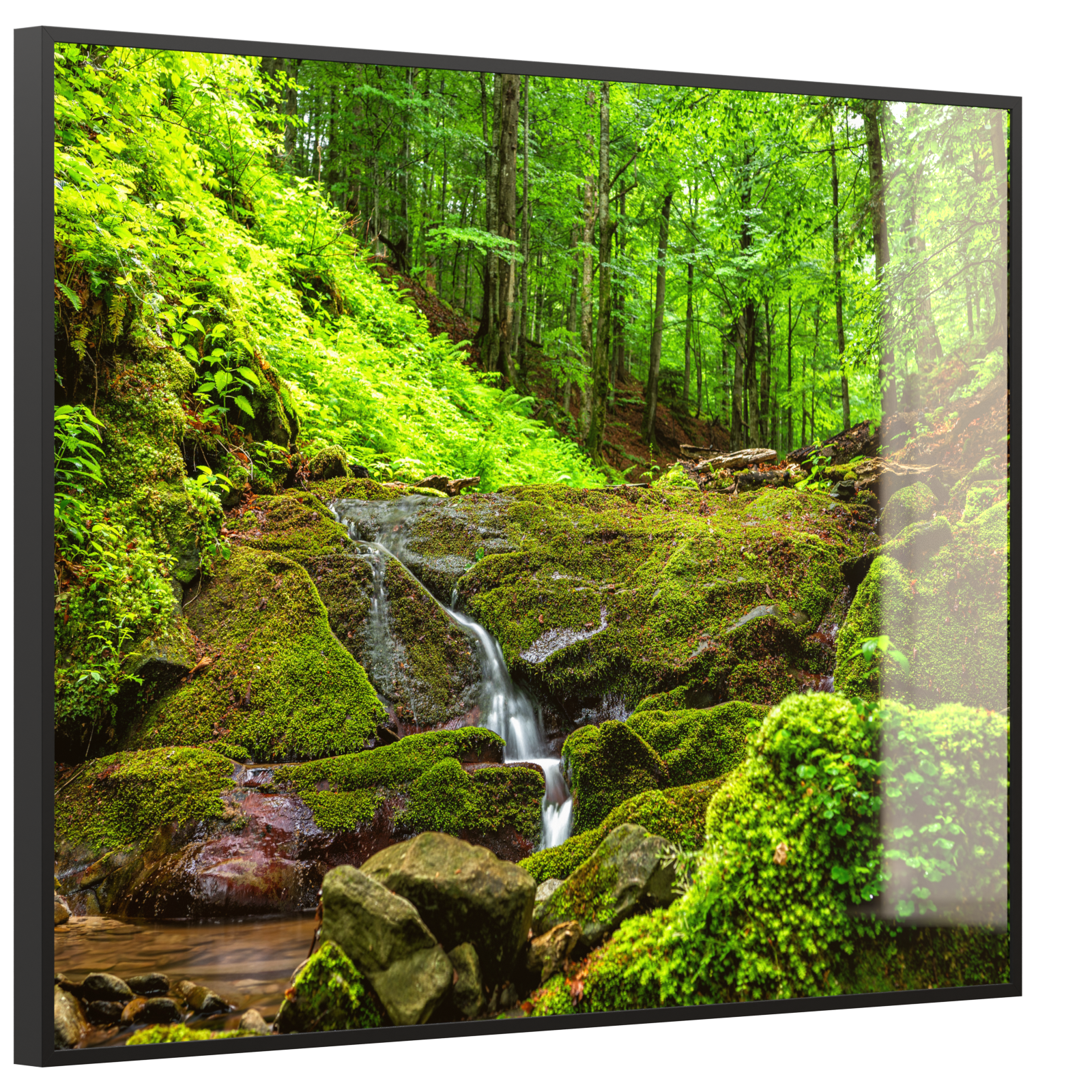 Deko Glas Wandbild Motiv 072 Waldbach