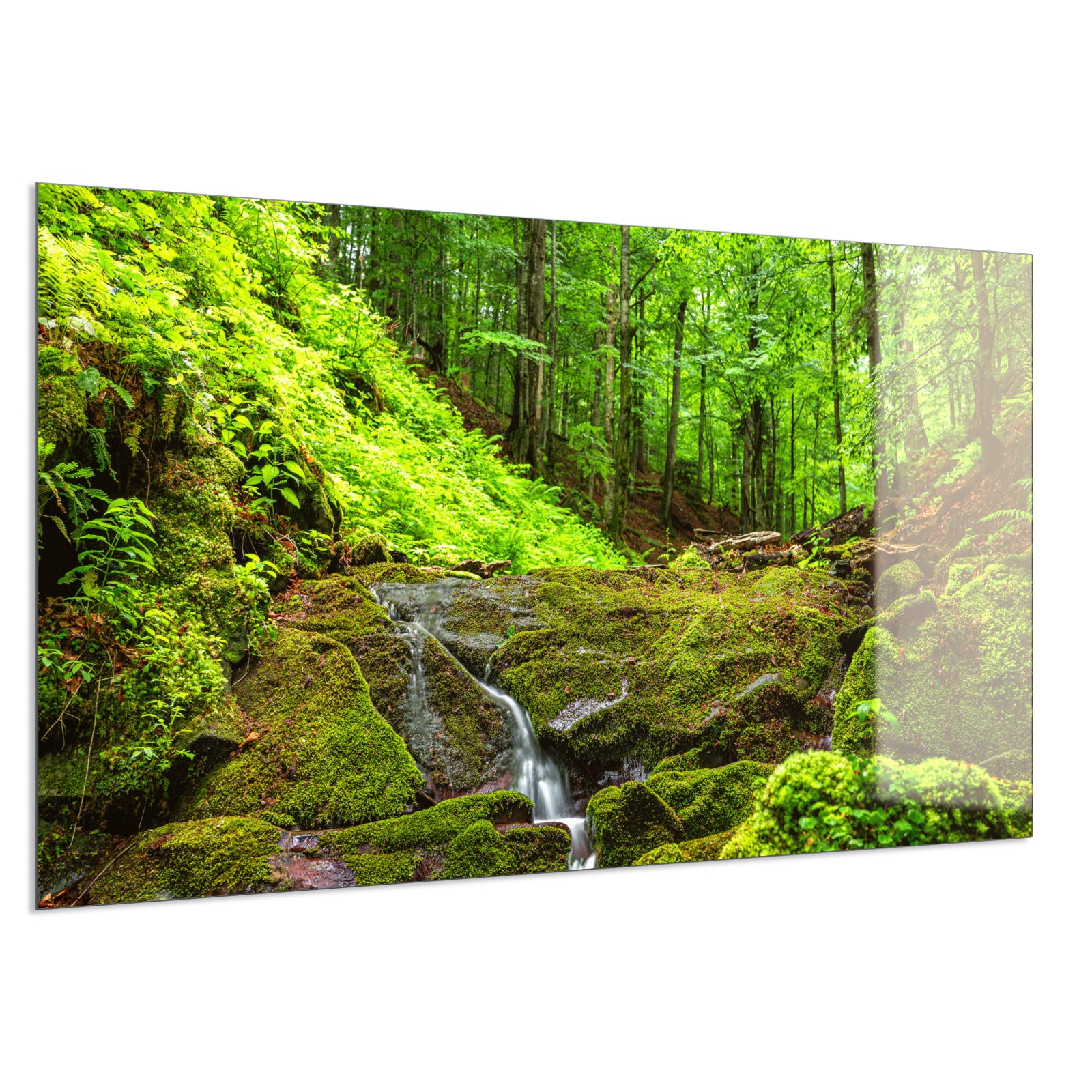 Deko Glas Wandbild Motiv 072 Waldbach