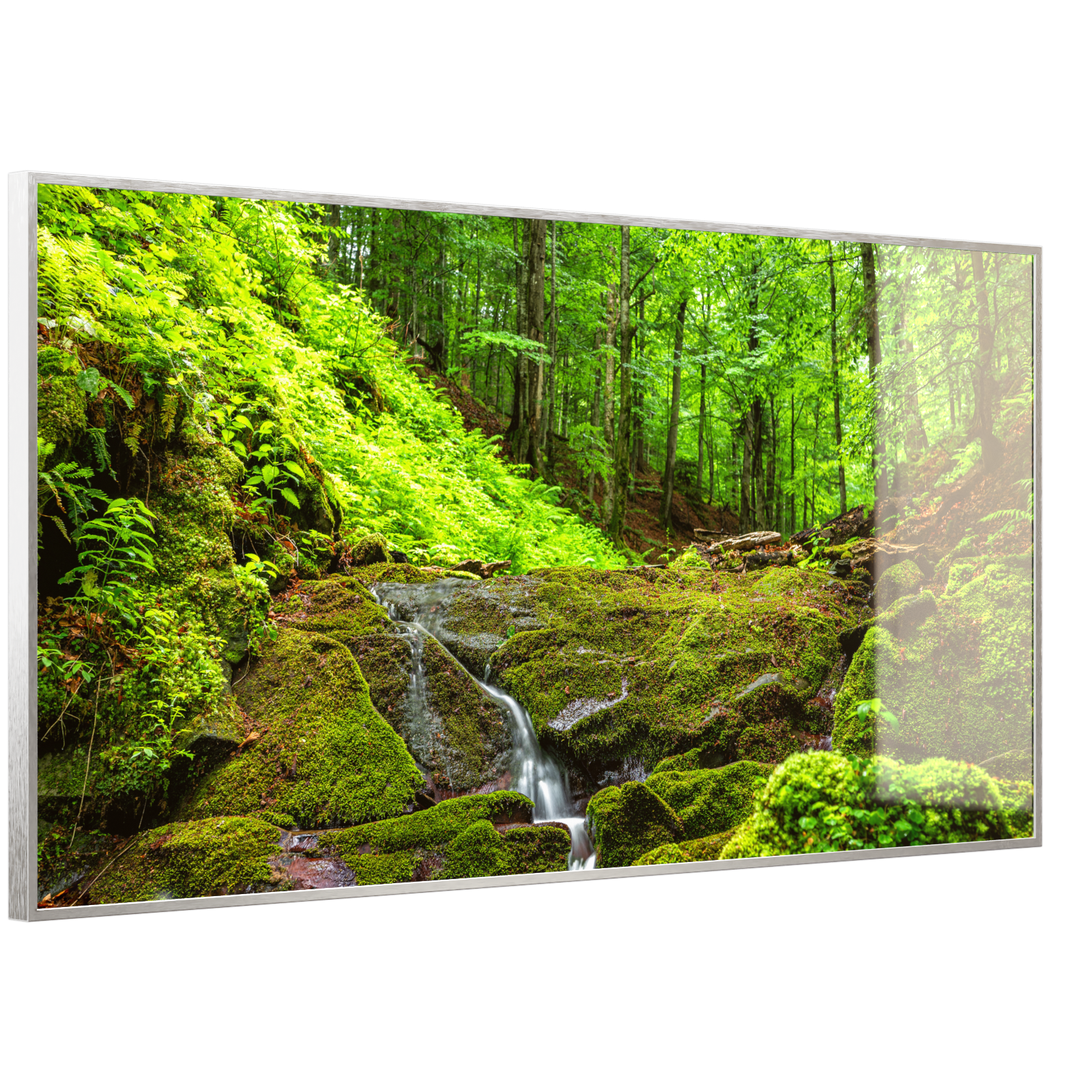 Deko Glas Wandbild Motiv 072 Waldbach