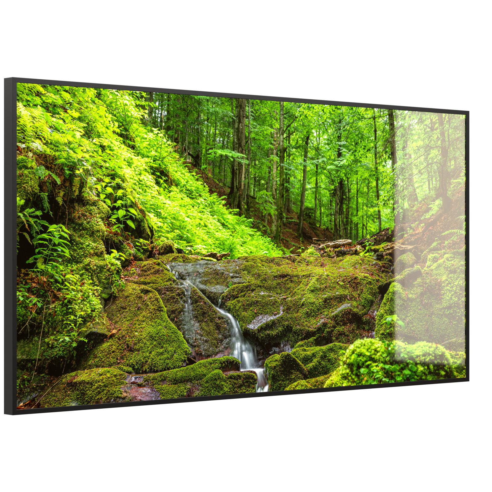 Deko Glas Wandbild Motiv 072 Waldbach