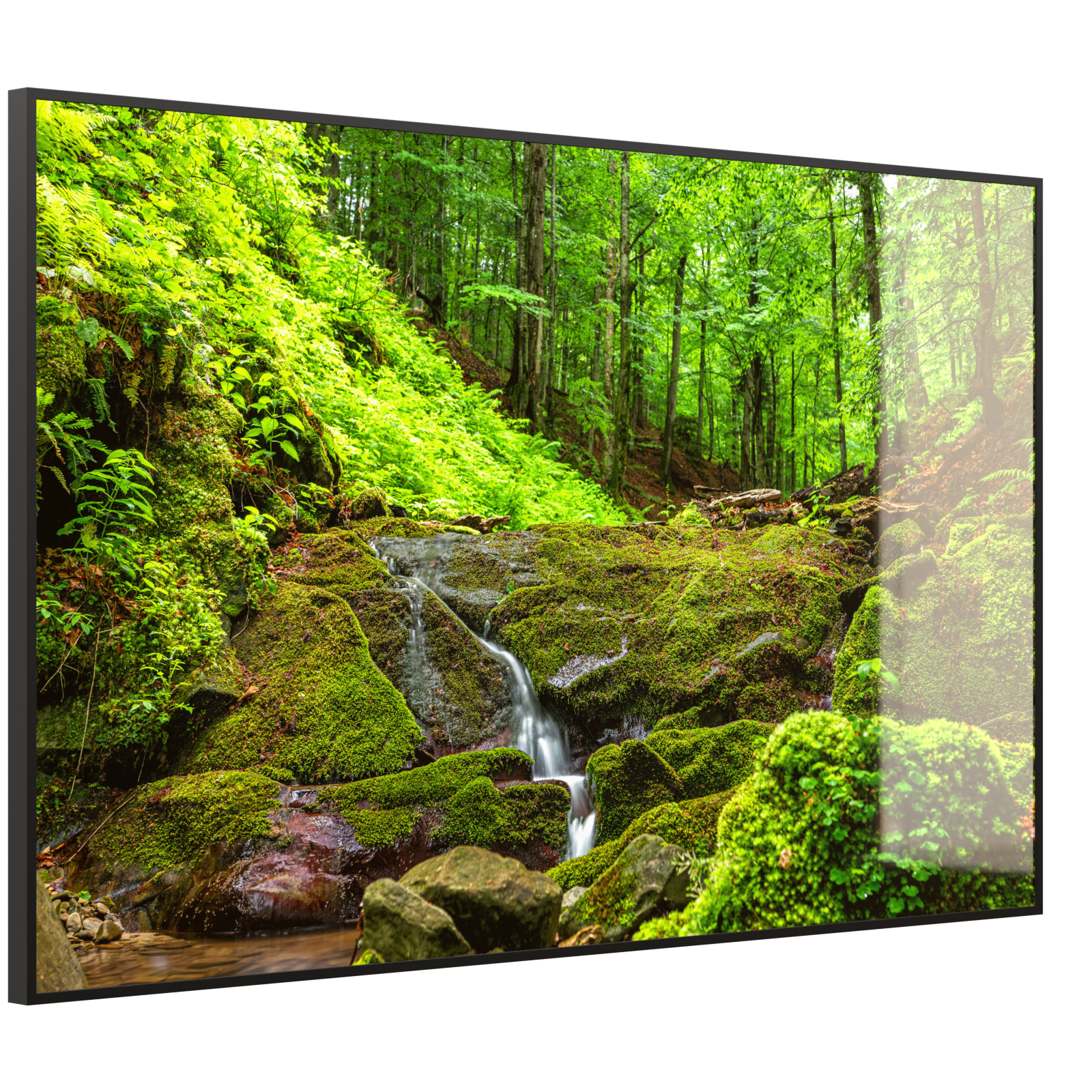 Deko Glas Wandbild Motiv 072 Waldbach