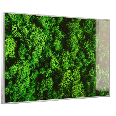 STEINFELD Deko Glas Wandbild Motiv 074 Moos