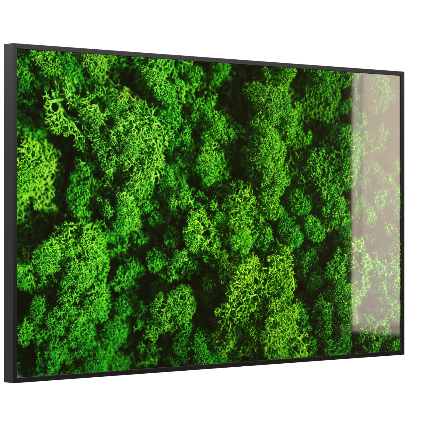 STEINFELD Deko Glas Wandbild Motiv 074 Moos