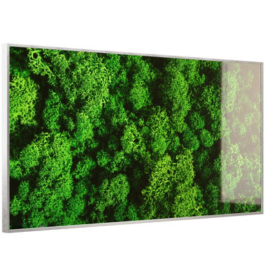 STEINFELD Deko Glas Wandbild Motiv 074 Moos