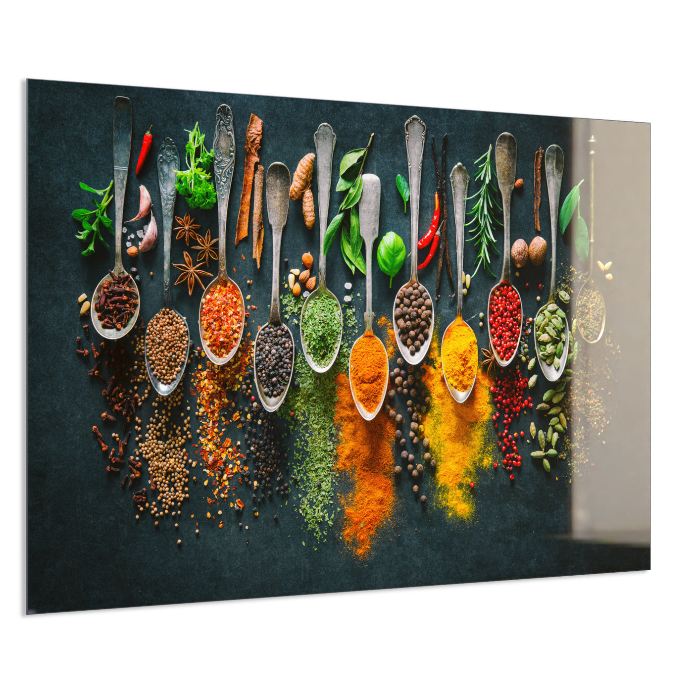 STEINFELD Deko Glas Wandbild Motiv 079 Kräuter und Gewürze