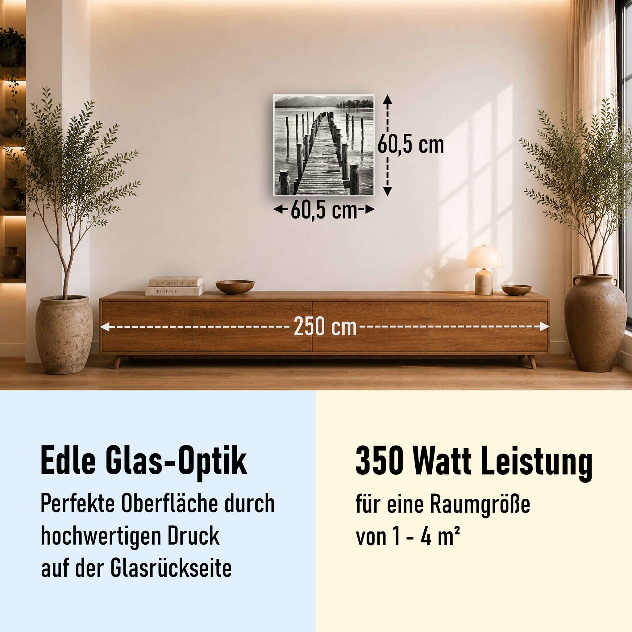Glas Infrarotheizung 350-1200W Motiv 017 Steg Schwarz Weiß