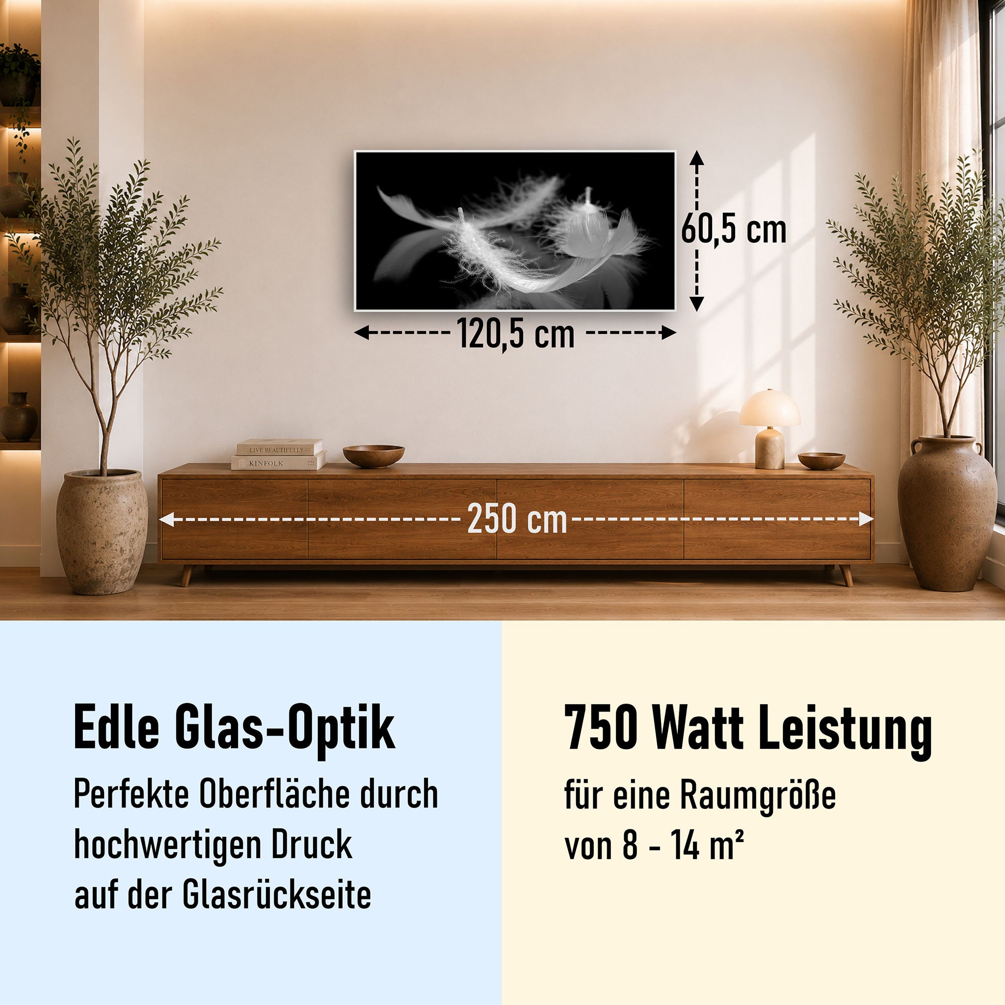 Glas Infrarotheizung 350-1200W Motiv 018 Federn Schwarz Weiß