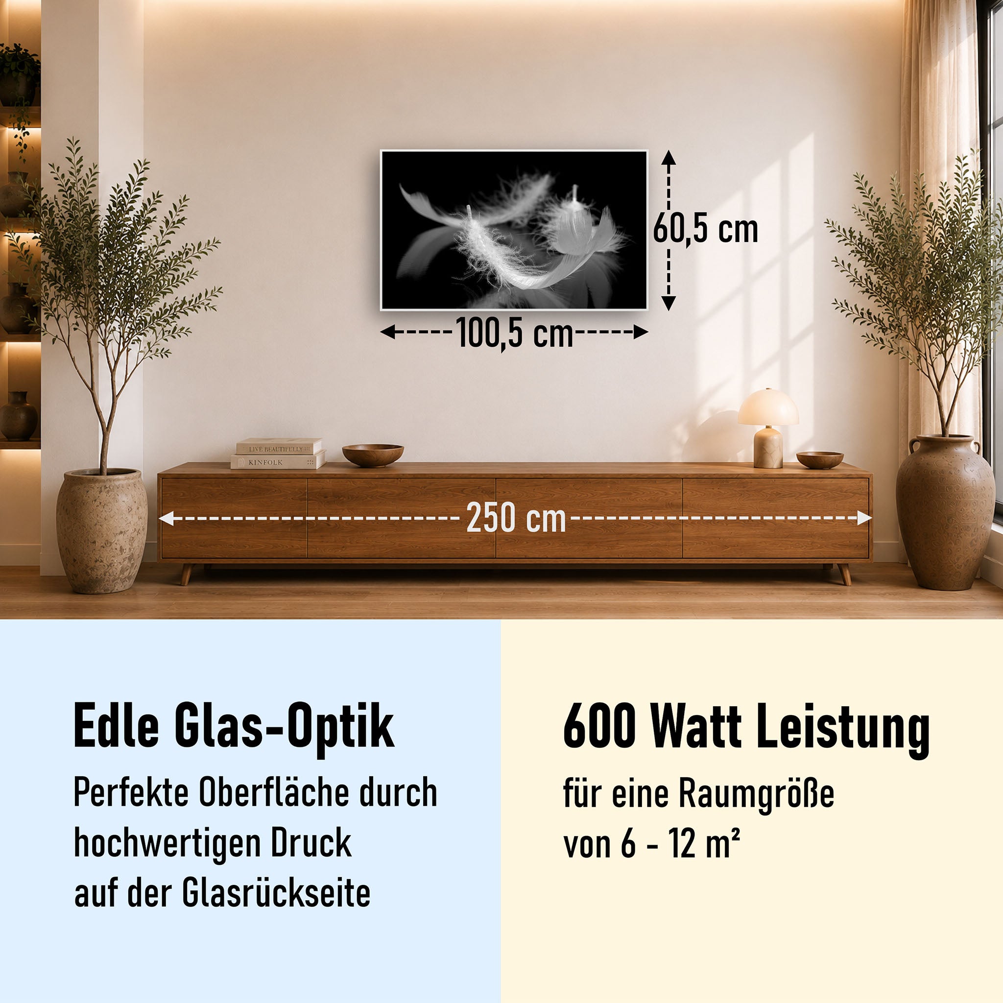 Glas Infrarotheizung 350-1200W Motiv 018 Federn Schwarz Weiß
