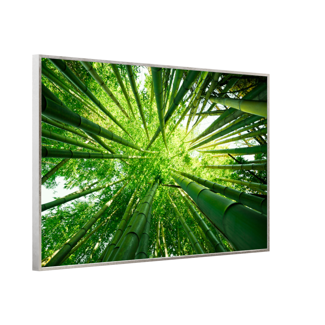 Bild Infrarotheizung 350-1200W Motiv 023 Bambusbaum