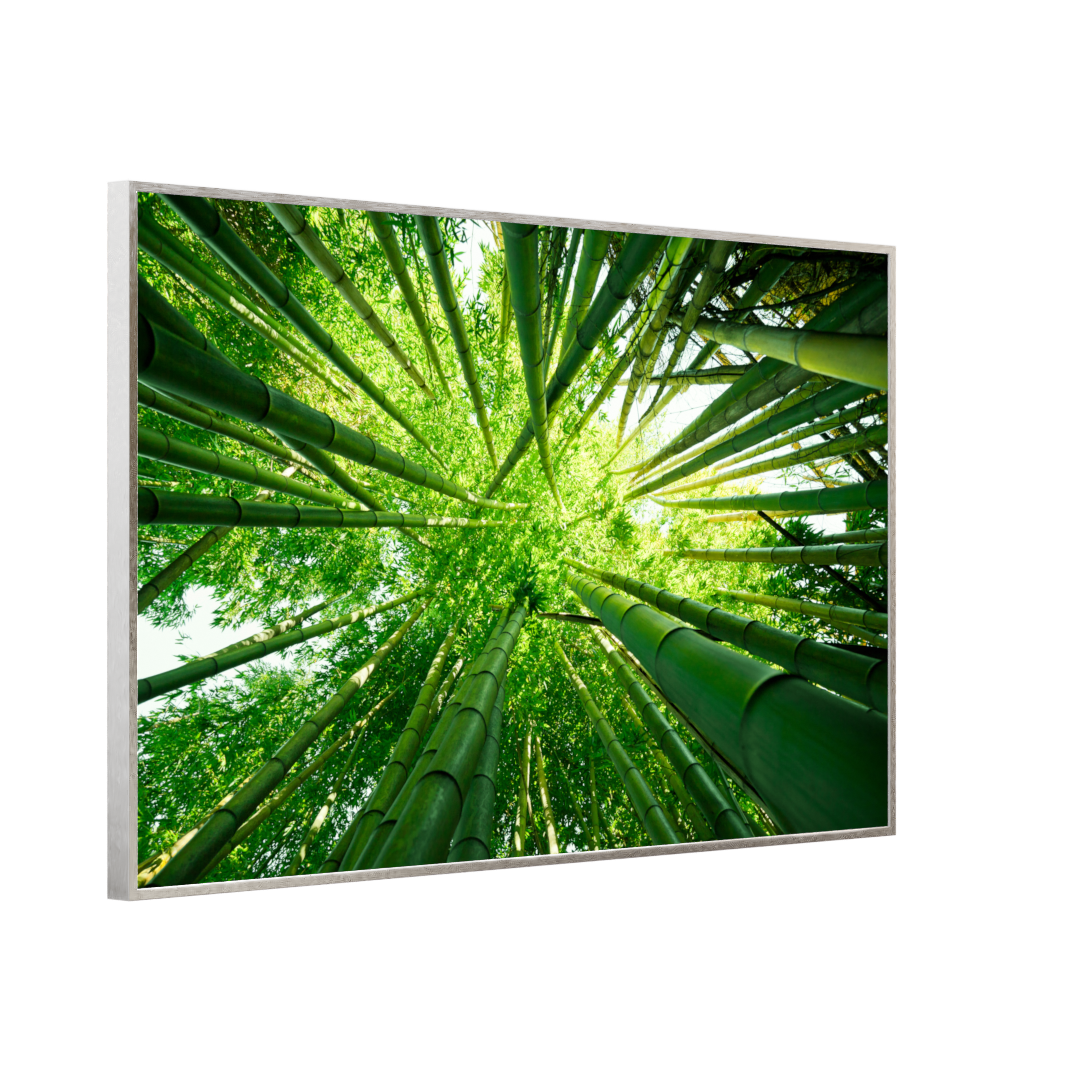 STEINFELD Bild Infrarotheizung 350-1200W Motiv 023 Bambusbaum