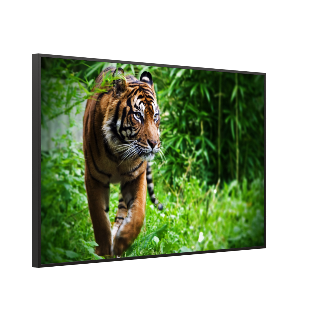 Bild Infrarotheizung 350-1200W Motiv 024 Tiger