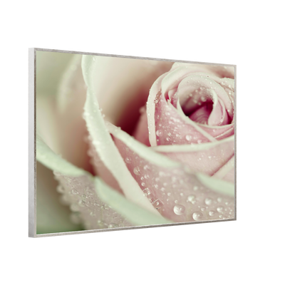 STEINFELD Bild Infrarotheizung 350-1200W Motiv 031 rosa Rose
