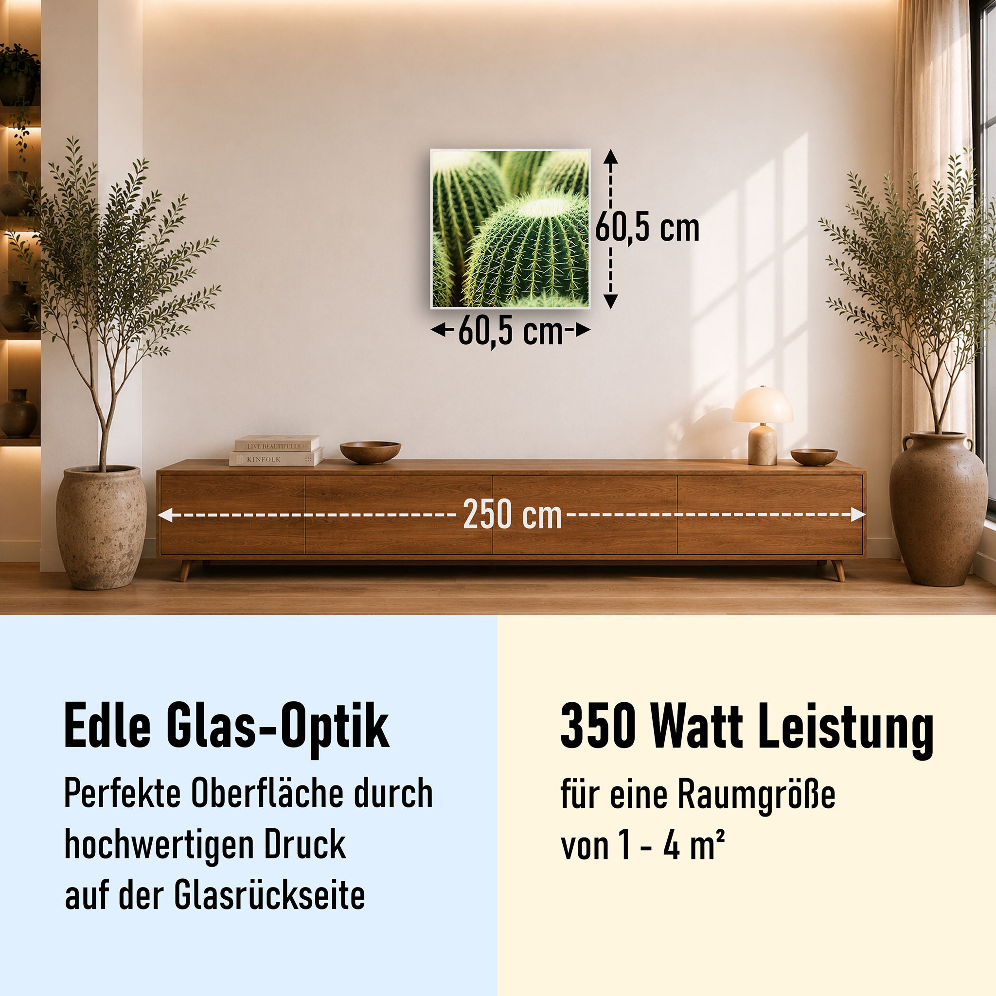 Glas Infrarotheizung 350-1200W Motiv 035 Kaktus