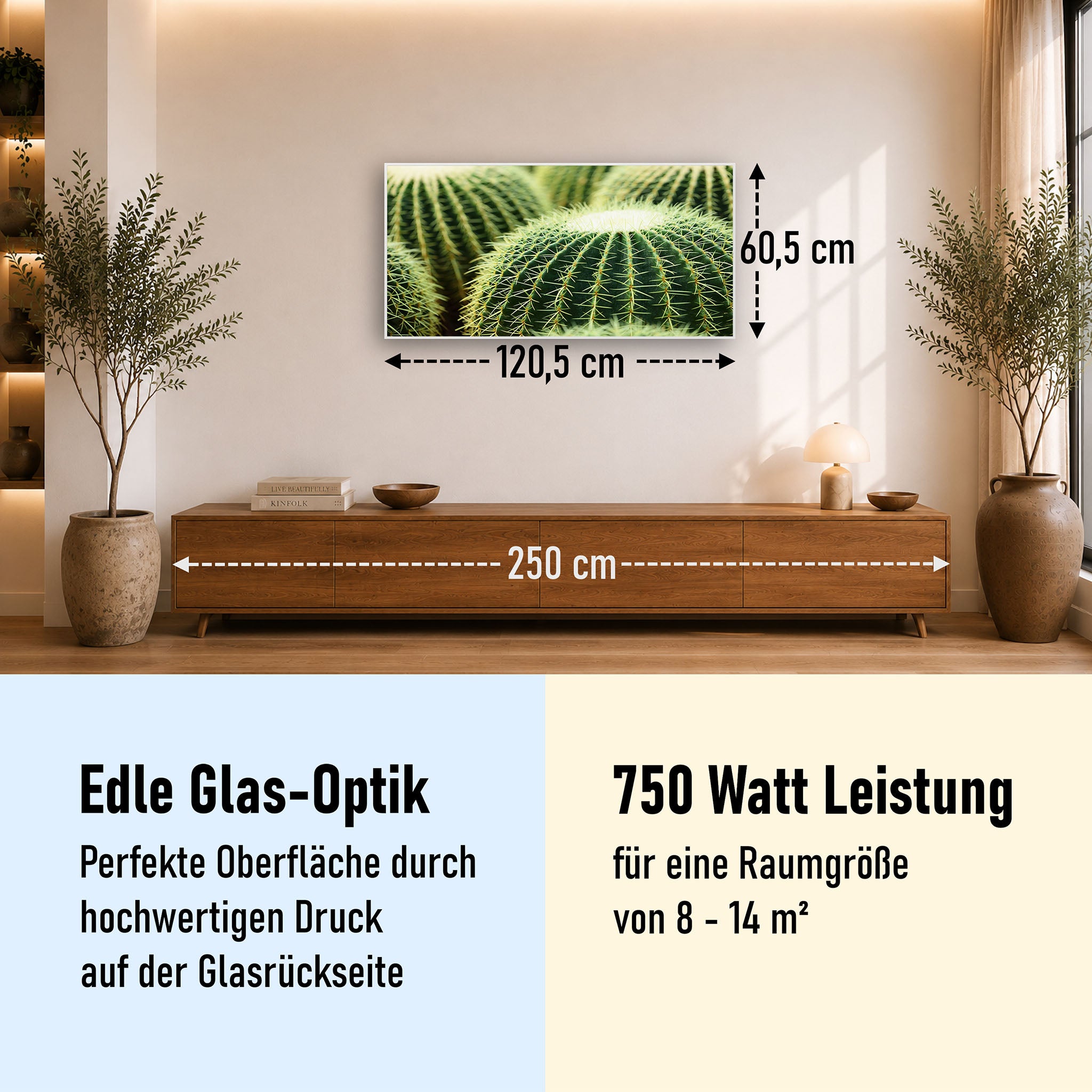 Glas Infrarotheizung 350-1200W Motiv 035 Kaktus