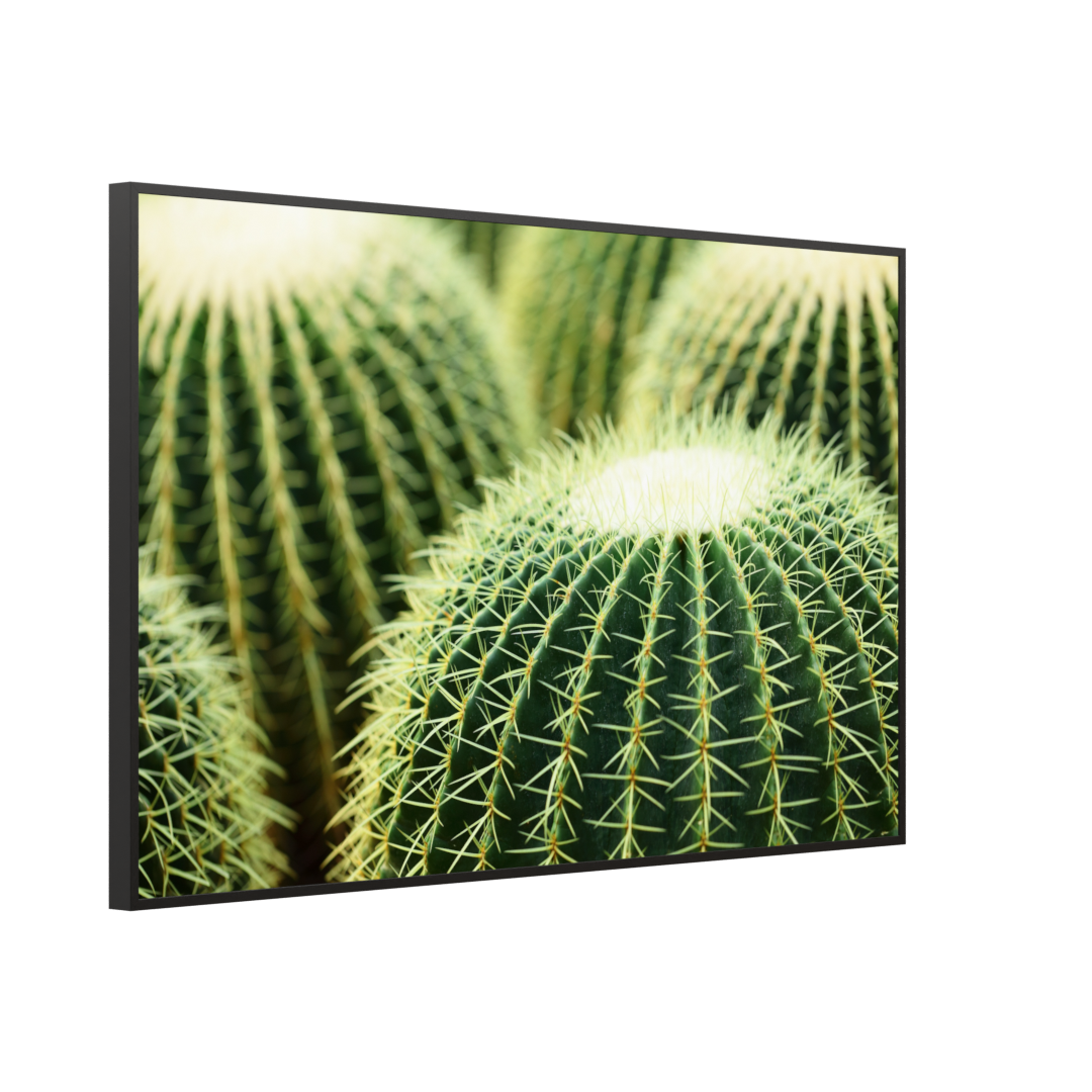 Bild Infrarotheizung 350-1200W Motiv 035 Kaktus