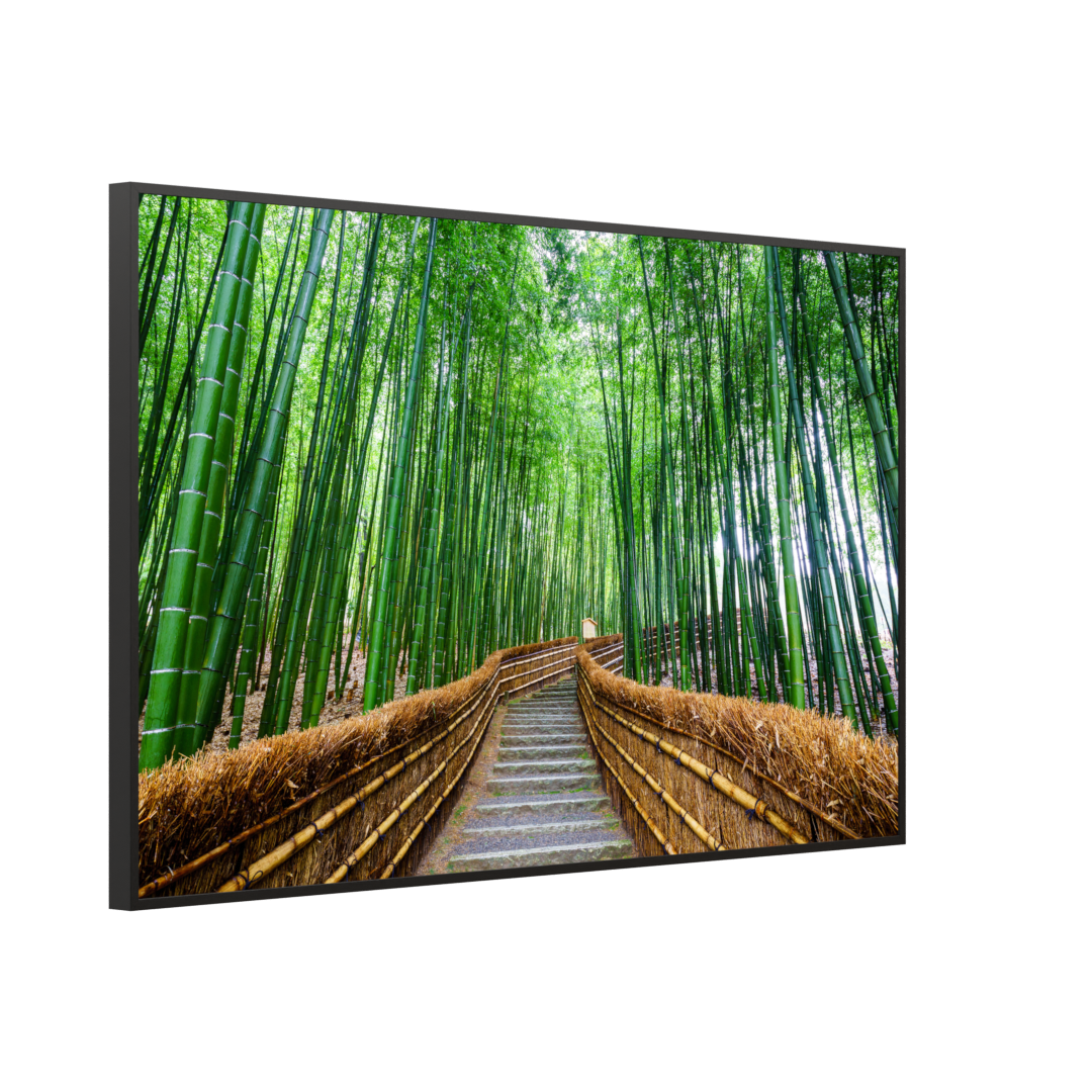 STEINFELD Bild Infrarotheizung 350-1200W Motiv 037 Bambus Wald