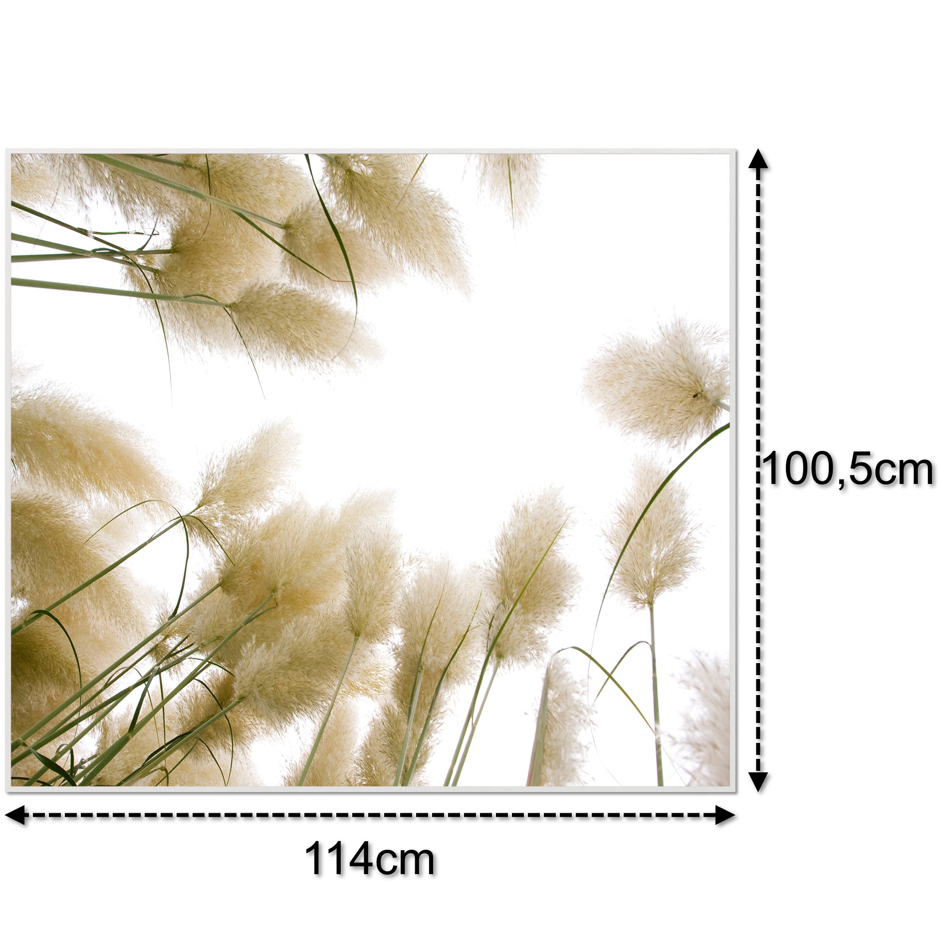 Glas Infrarotheizung 350-1200W Motiv 043 Röhricht