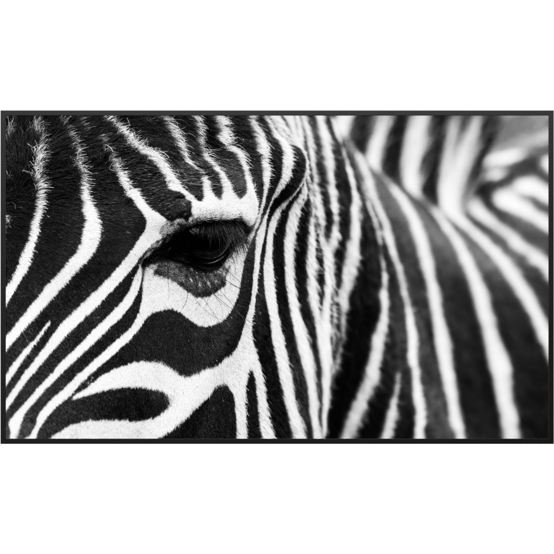 Glas Infrarotheizung 350-1200W Motiv 050 Zebra