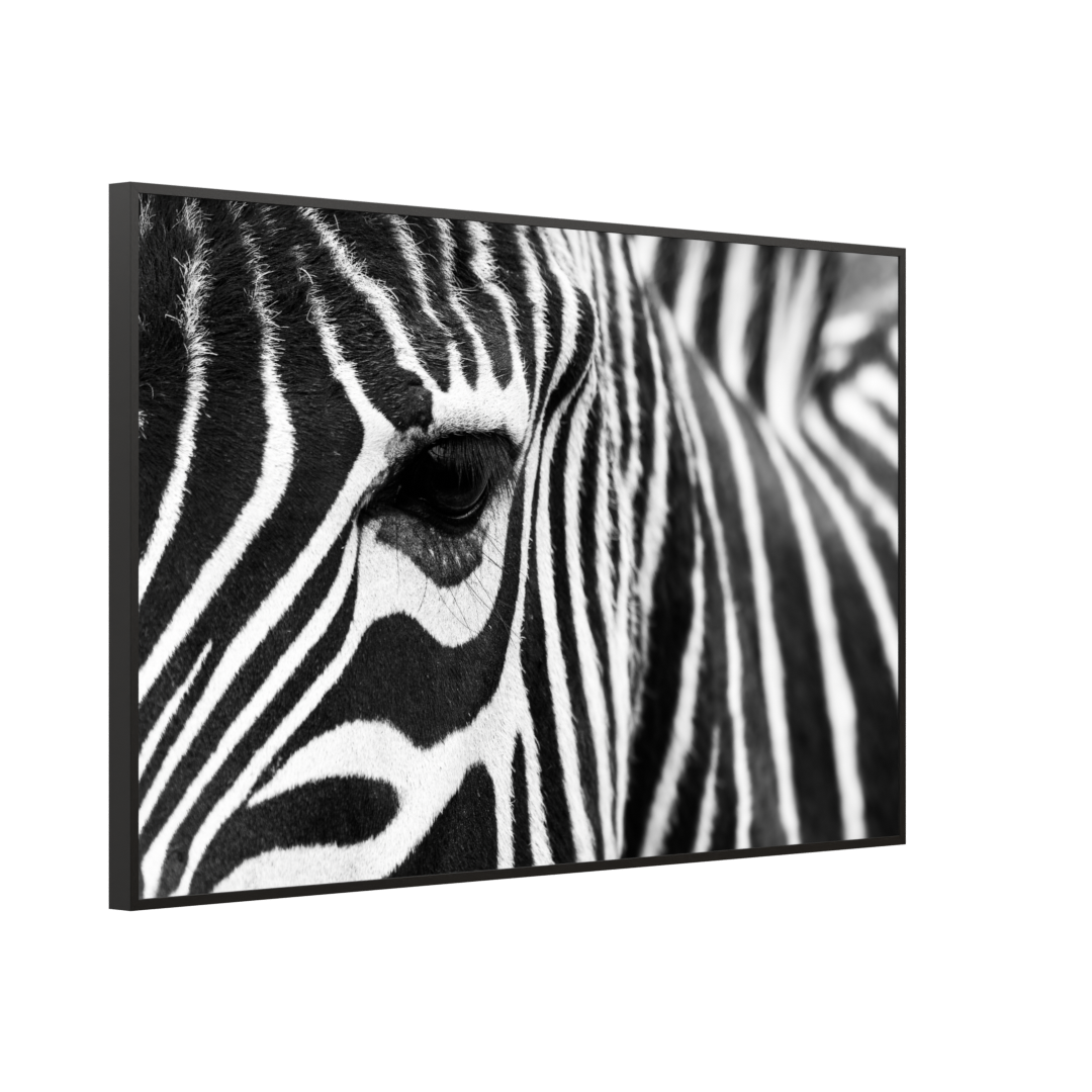 Bild Infrarotheizung 350-1200W Motiv 050 Zebra