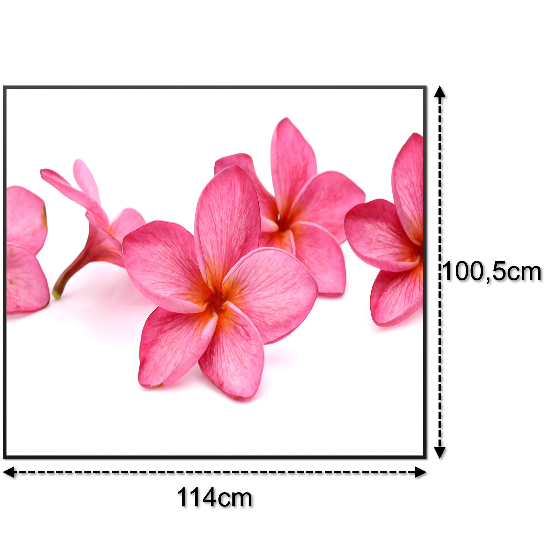 Glas Infrarotheizung 350-1200W Motiv 053 Pink Frangipani