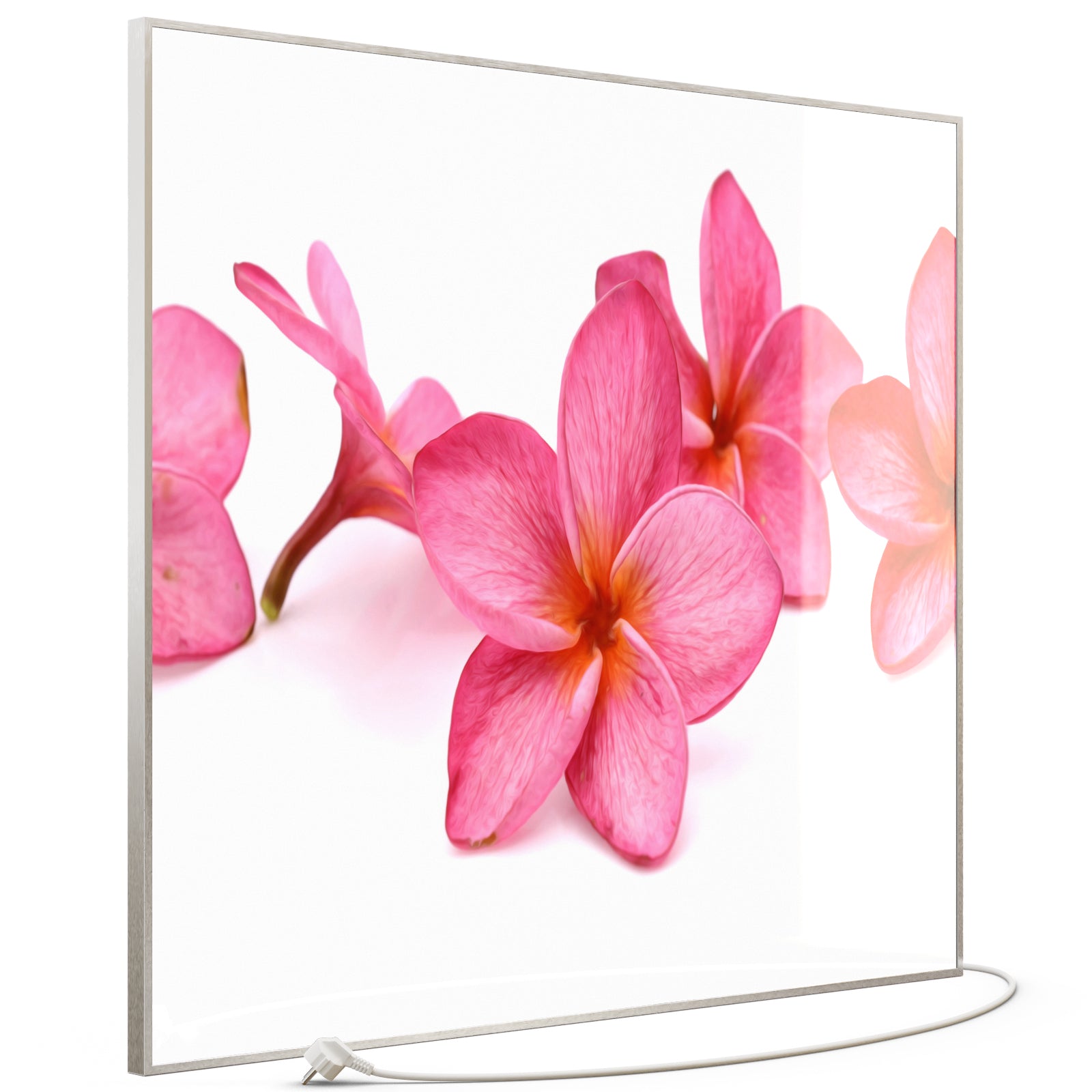 Glas Infrarotheizung 350-1200W Motiv 053 Pink Frangipani