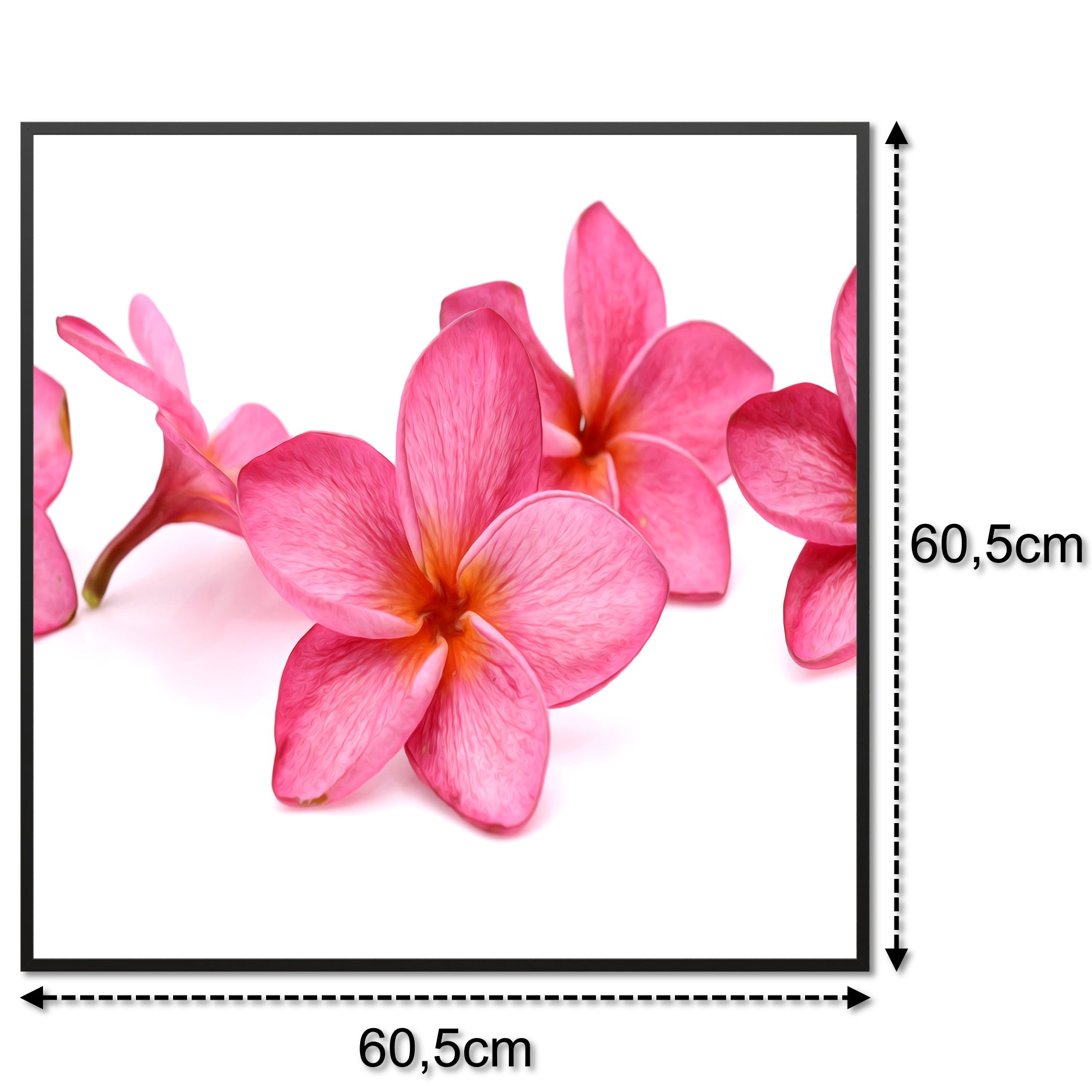 Glas Infrarotheizung 350-1200W Motiv 053 Pink Frangipani