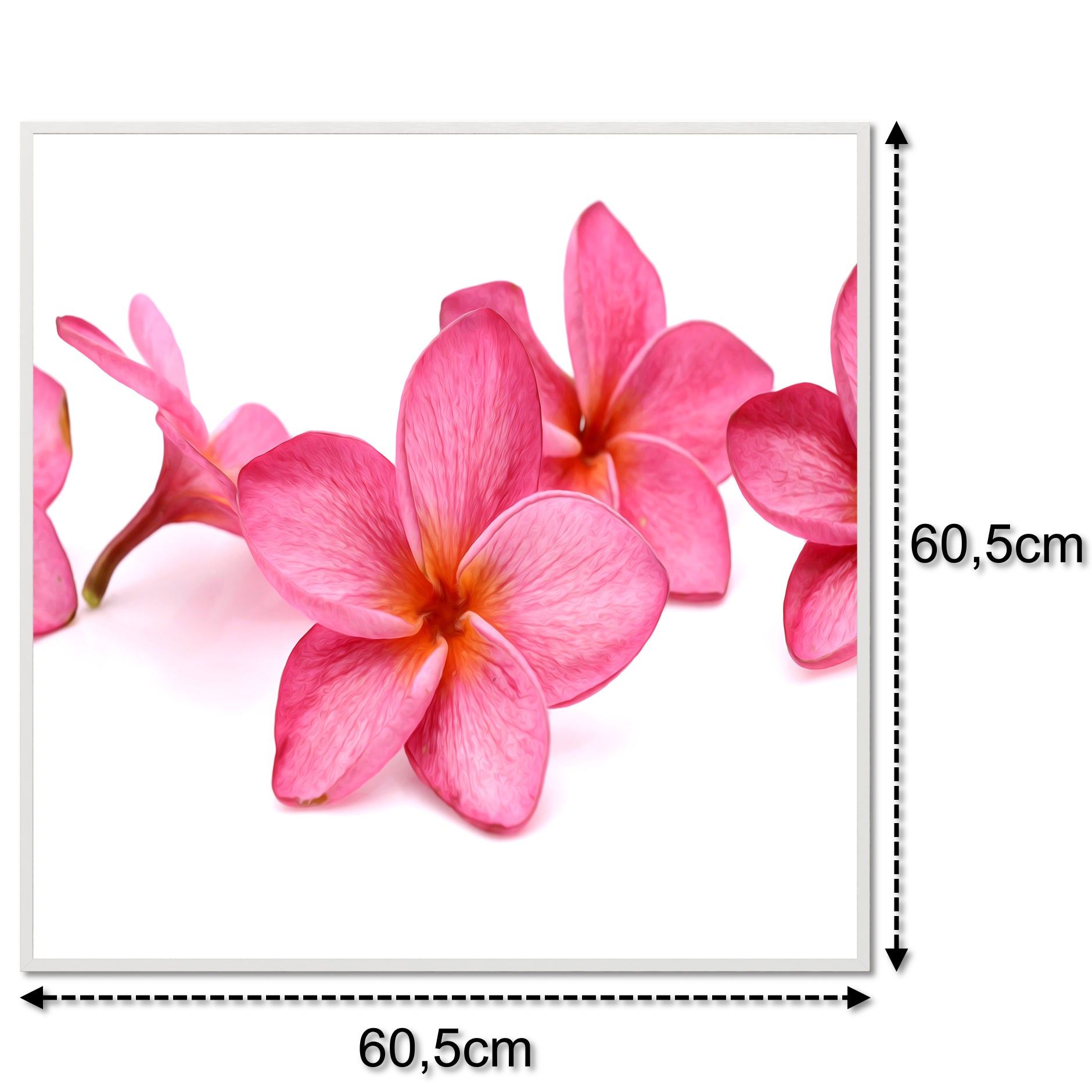 Bild Infrarotheizung 350-1200W Motiv 053 Pink Frangipani