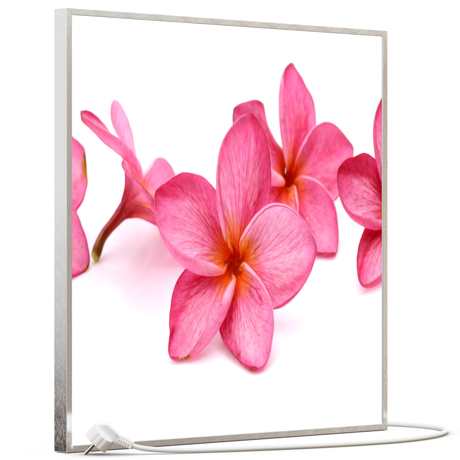 Bild Infrarotheizung 350-1200W Motiv 053 Pink Frangipani