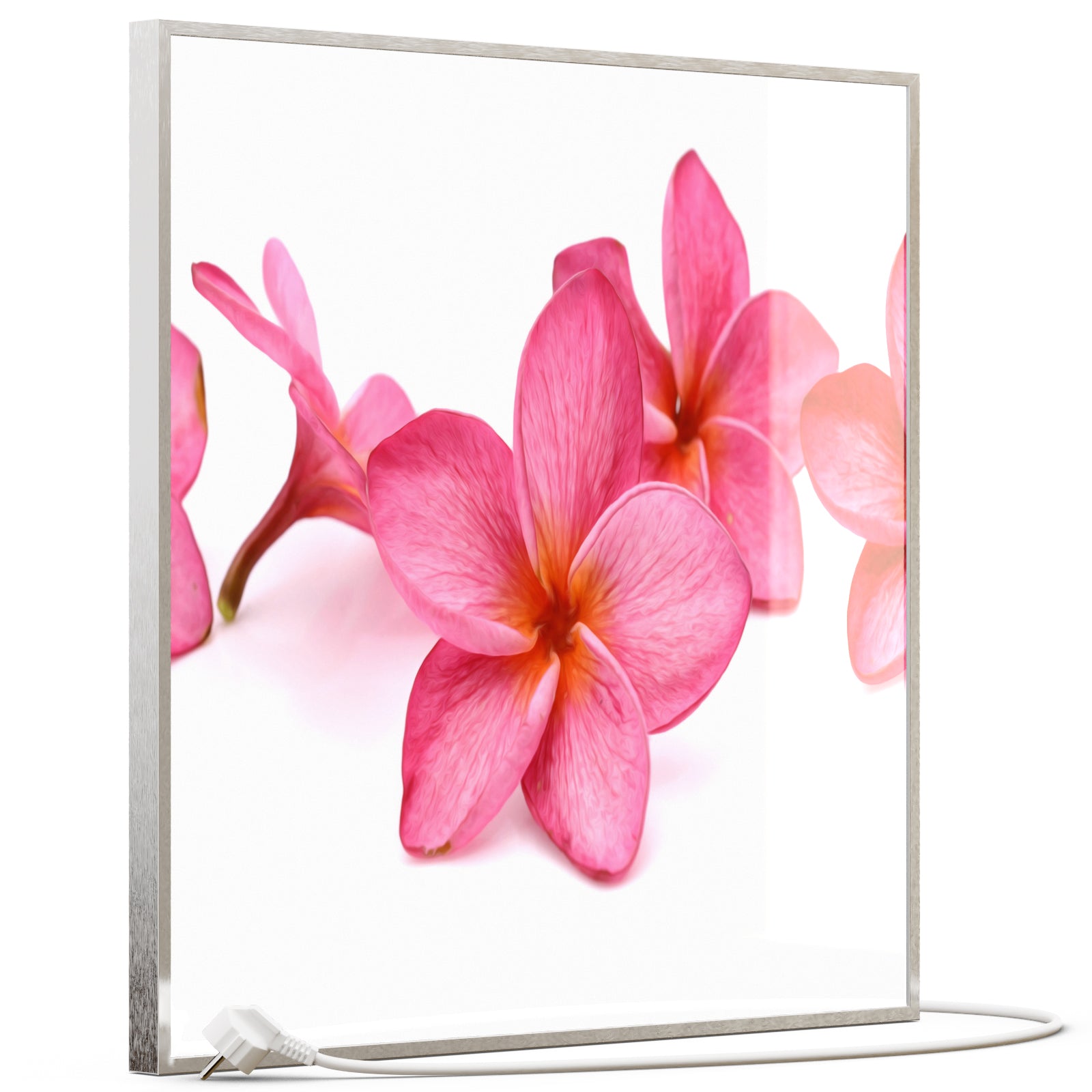 Glas Infrarotheizung 350-1200W Motiv 053 Pink Frangipani