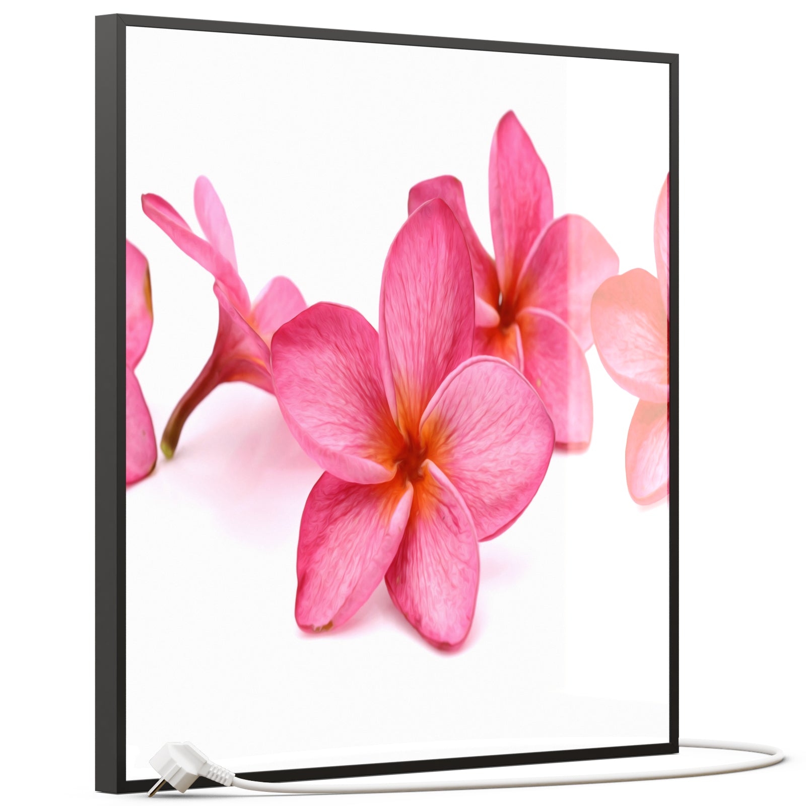 Glas Infrarotheizung 350-1200W Motiv 053 Pink Frangipani