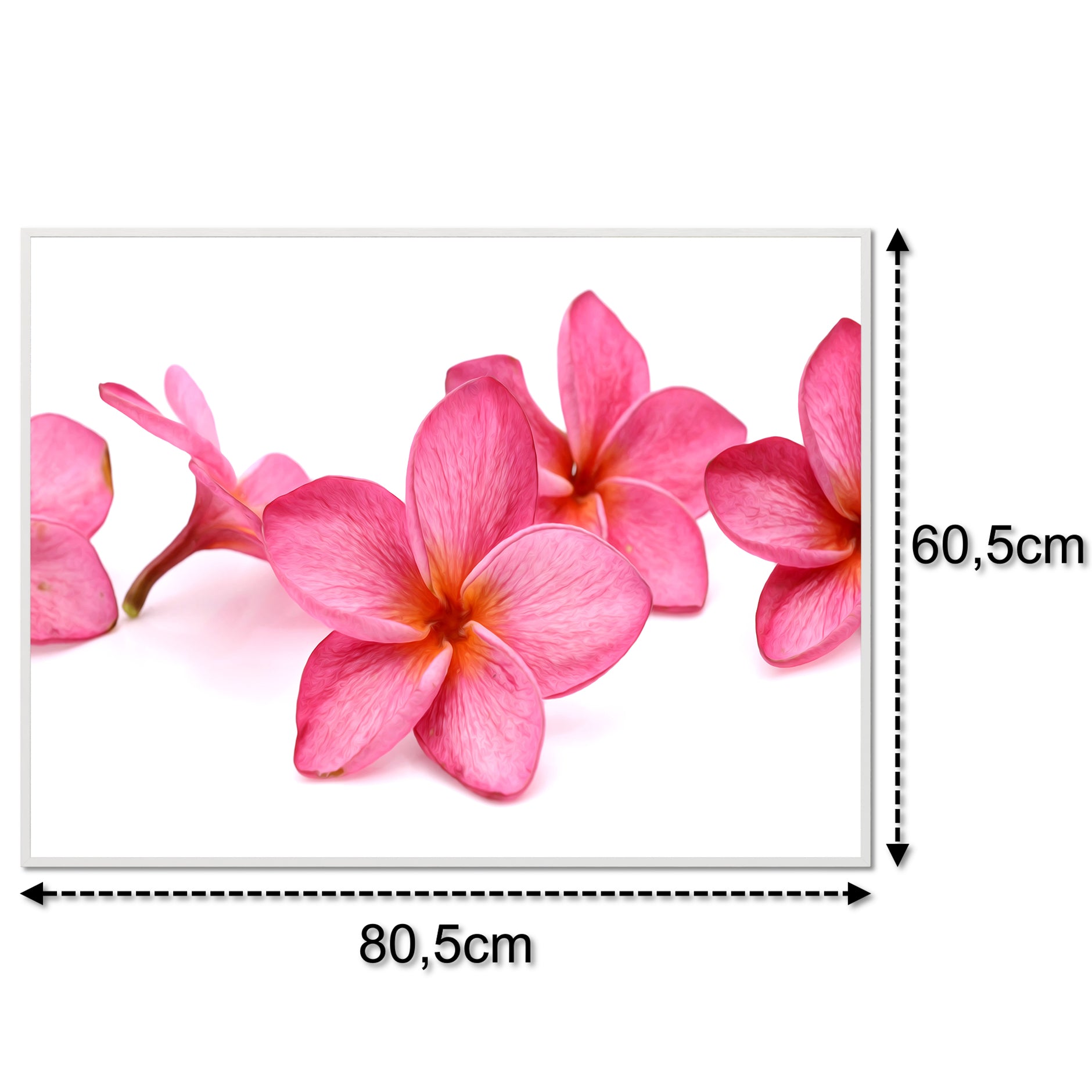 Glas Infrarotheizung 350-1200W Motiv 053 Pink Frangipani