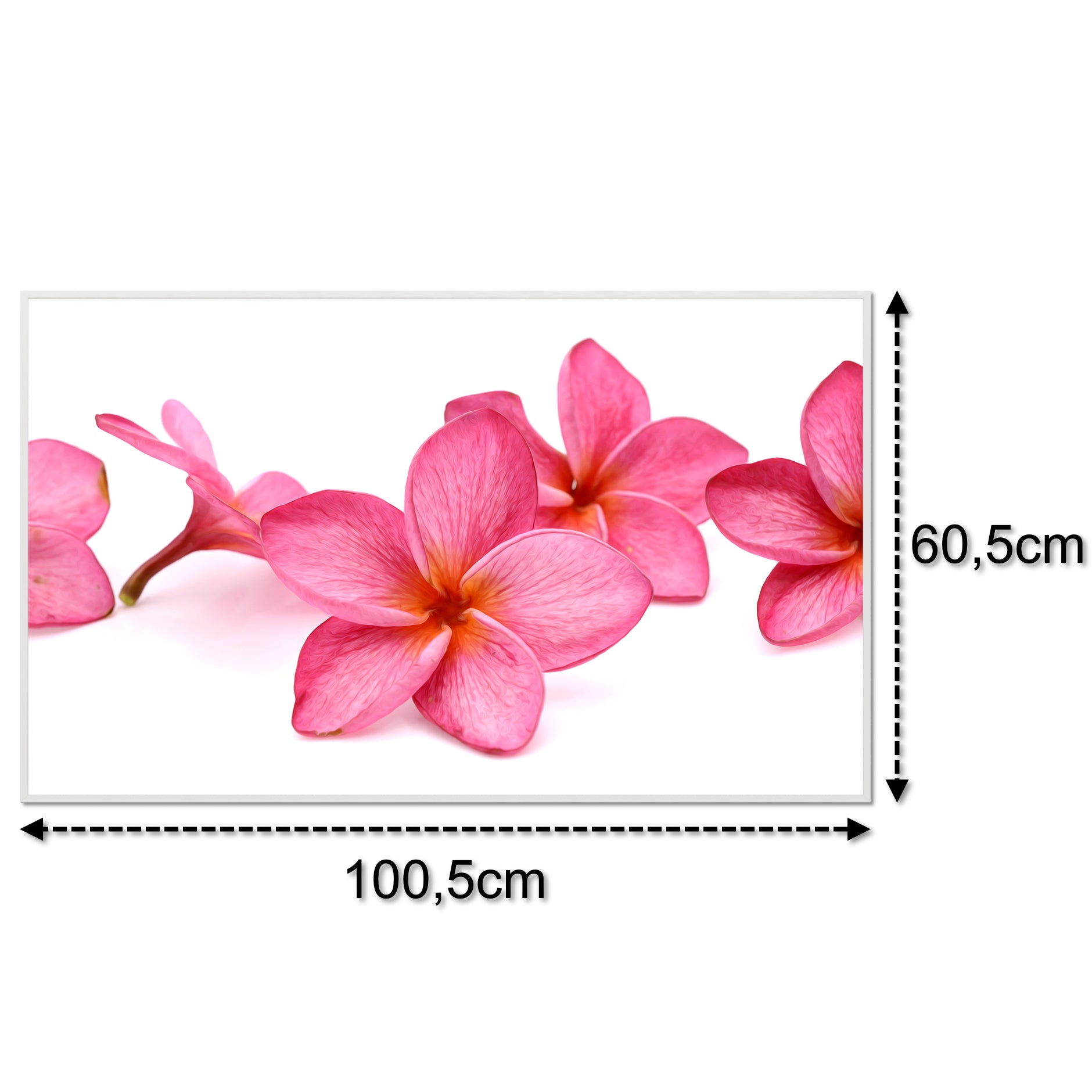 Glas Infrarotheizung 350-1200W Motiv 053 Pink Frangipani