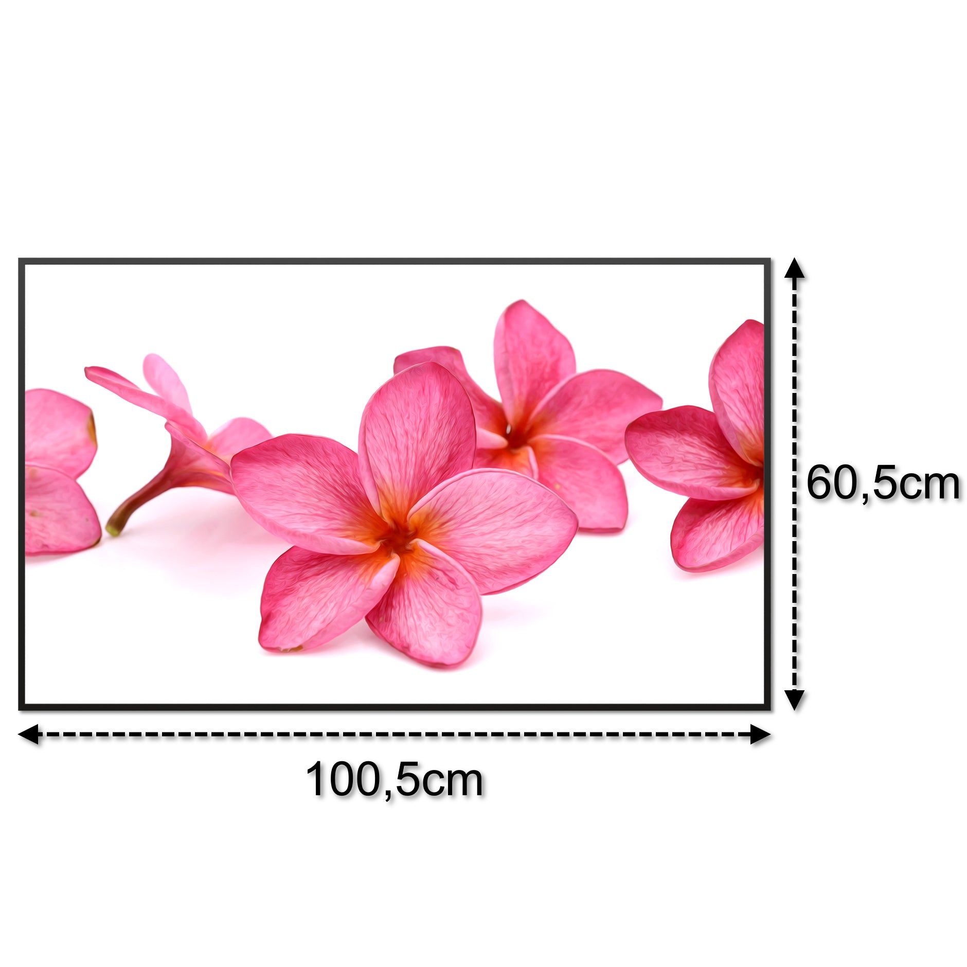 Glas Infrarotheizung 350-1200W Motiv 053 Pink Frangipani