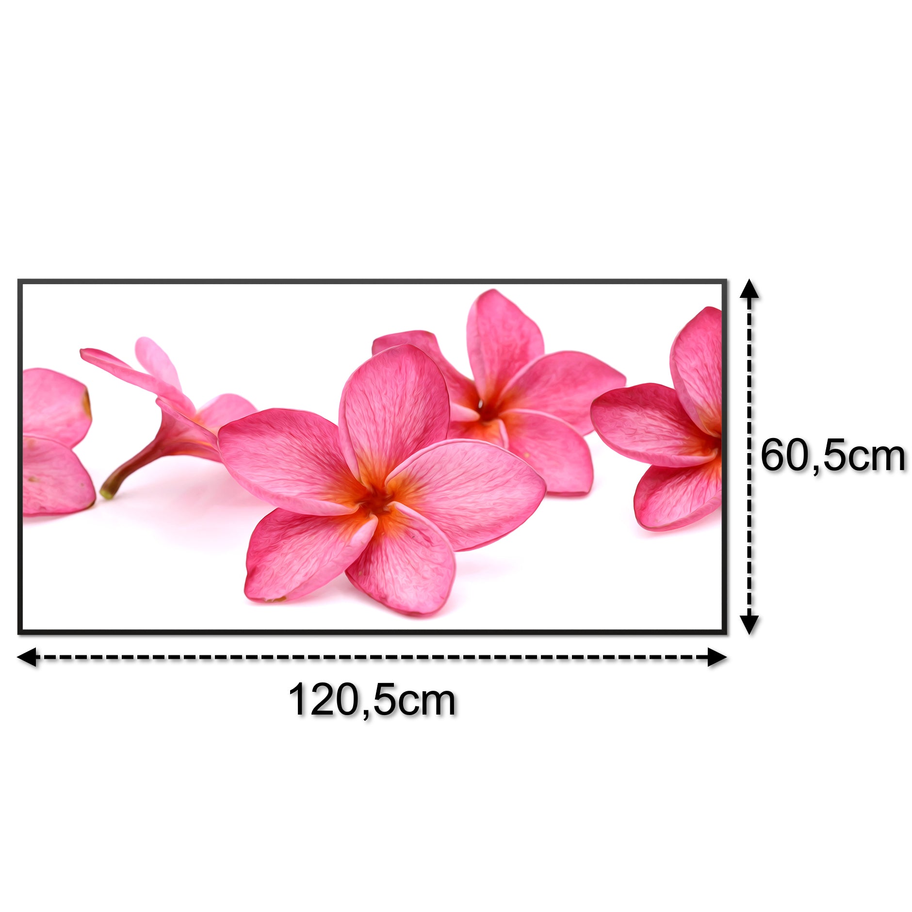 Glas Infrarotheizung 350-1200W Motiv 053 Pink Frangipani