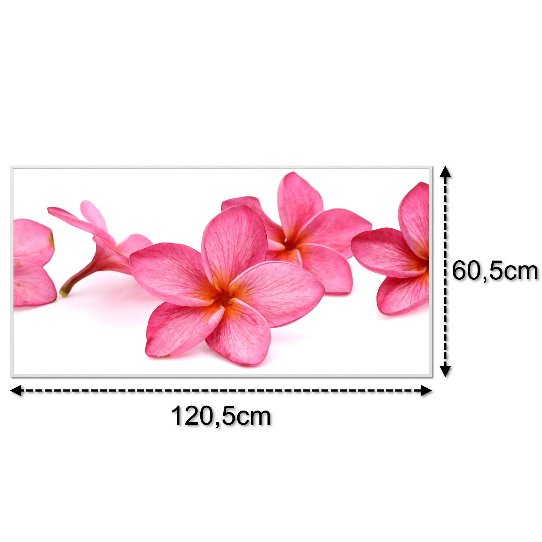 Glas Infrarotheizung 350-1200W Motiv 053 Pink Frangipani