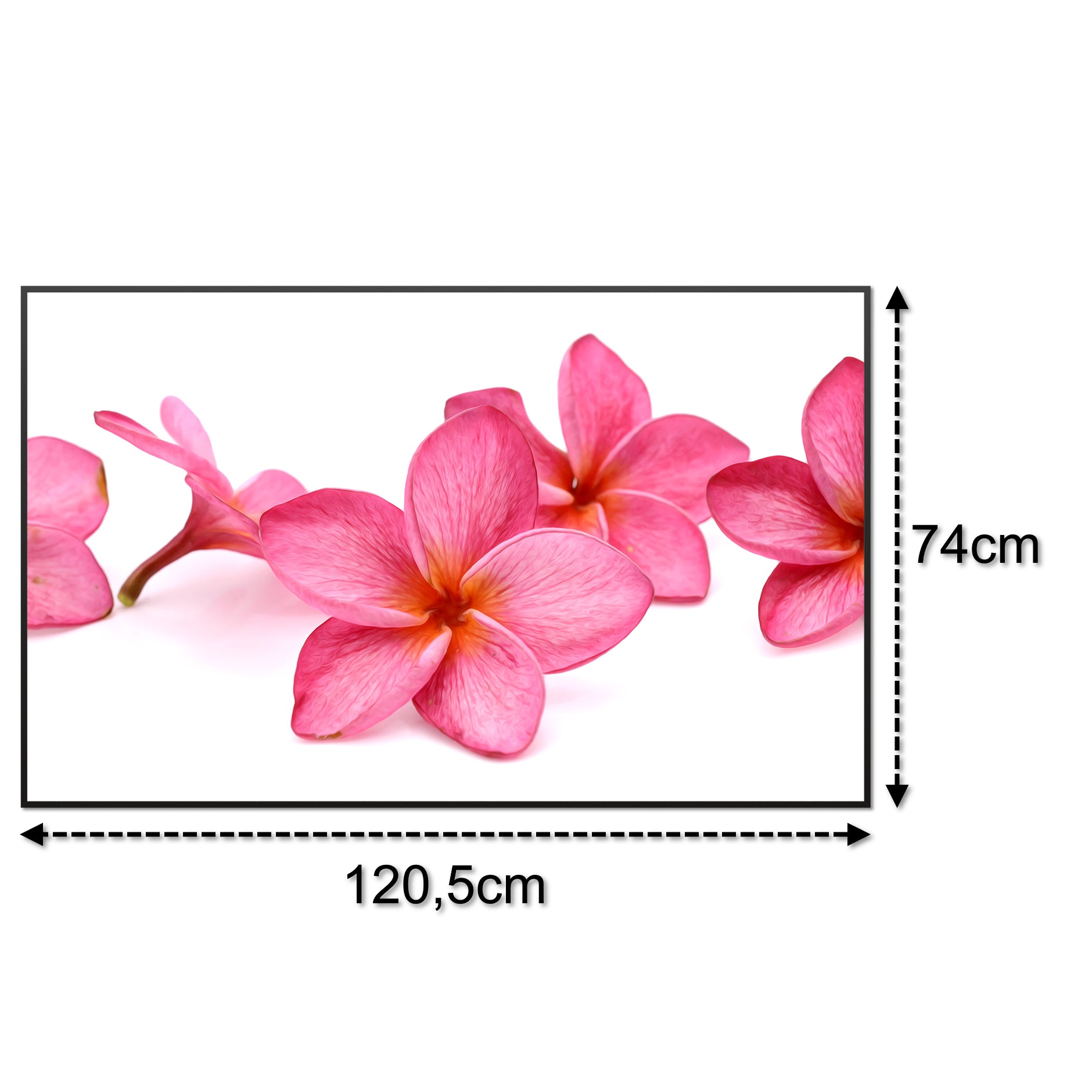 Glas Infrarotheizung 350-1200W Motiv 053 Pink Frangipani