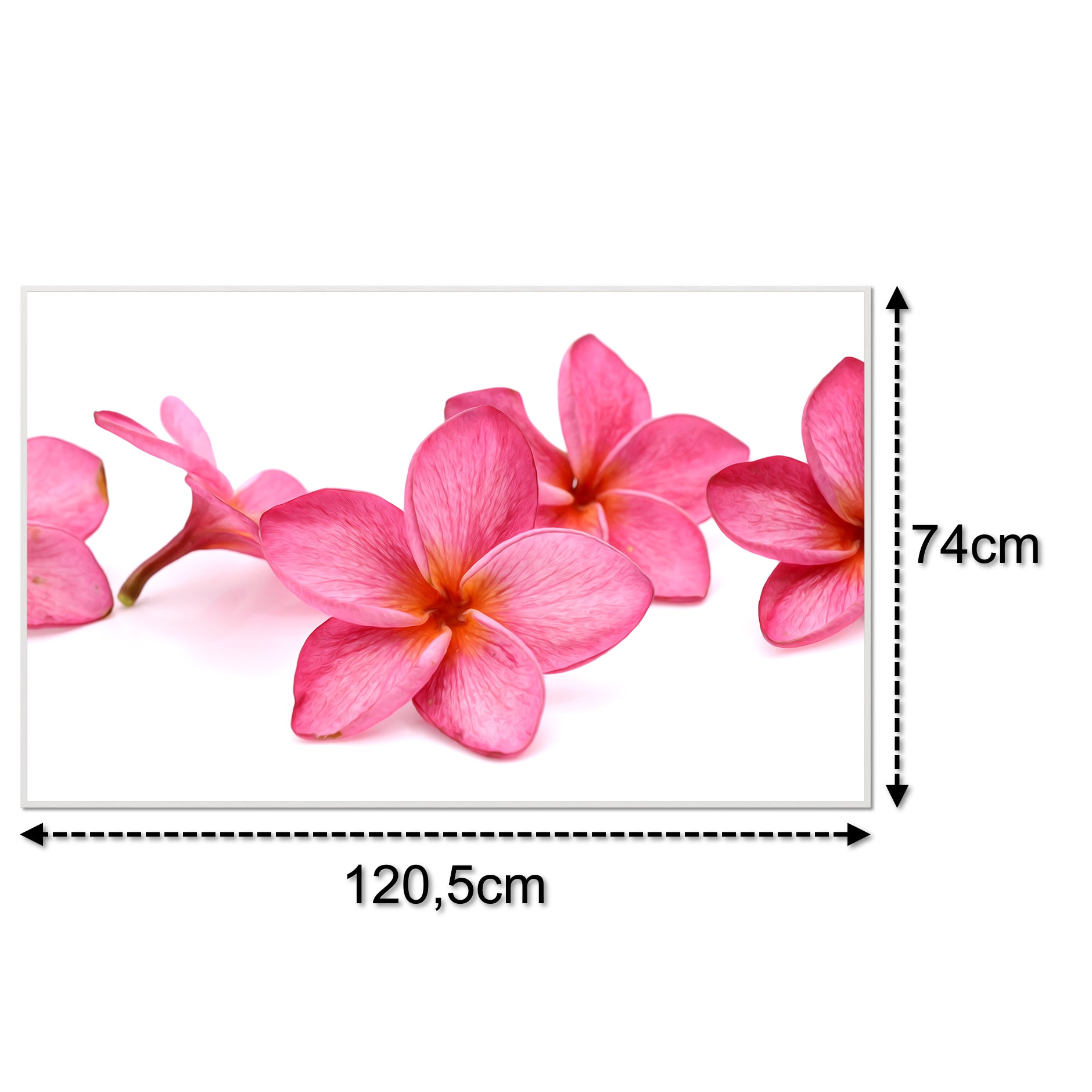 Bild Infrarotheizung 350-1200W Motiv 053 Pink Frangipani