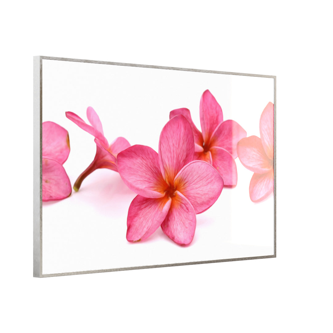 Glas Infrarotheizung 350-1200W Motiv 053 Pink Frangipani