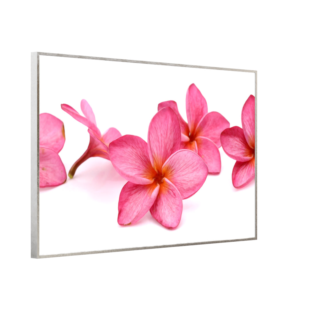 Bild Infrarotheizung 350-1200W Motiv 053 Pink Frangipani